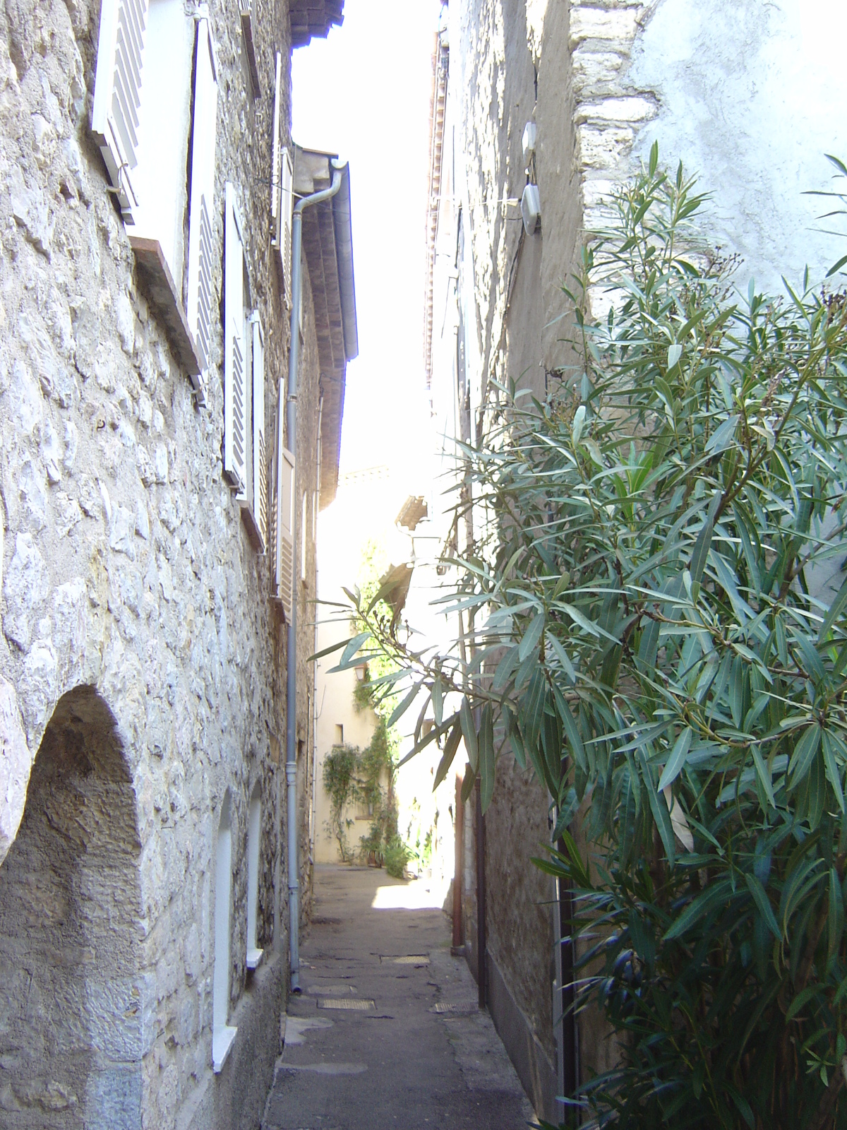 照片 法国(France) 穆然(Mougins) 2006-02 4