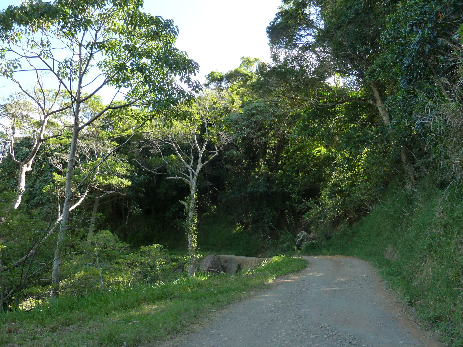 照片 新喀里多尼亚(New Caledonia) 蒂奥至卡纳拉公路(Thio to Canala road) 2010-05 74