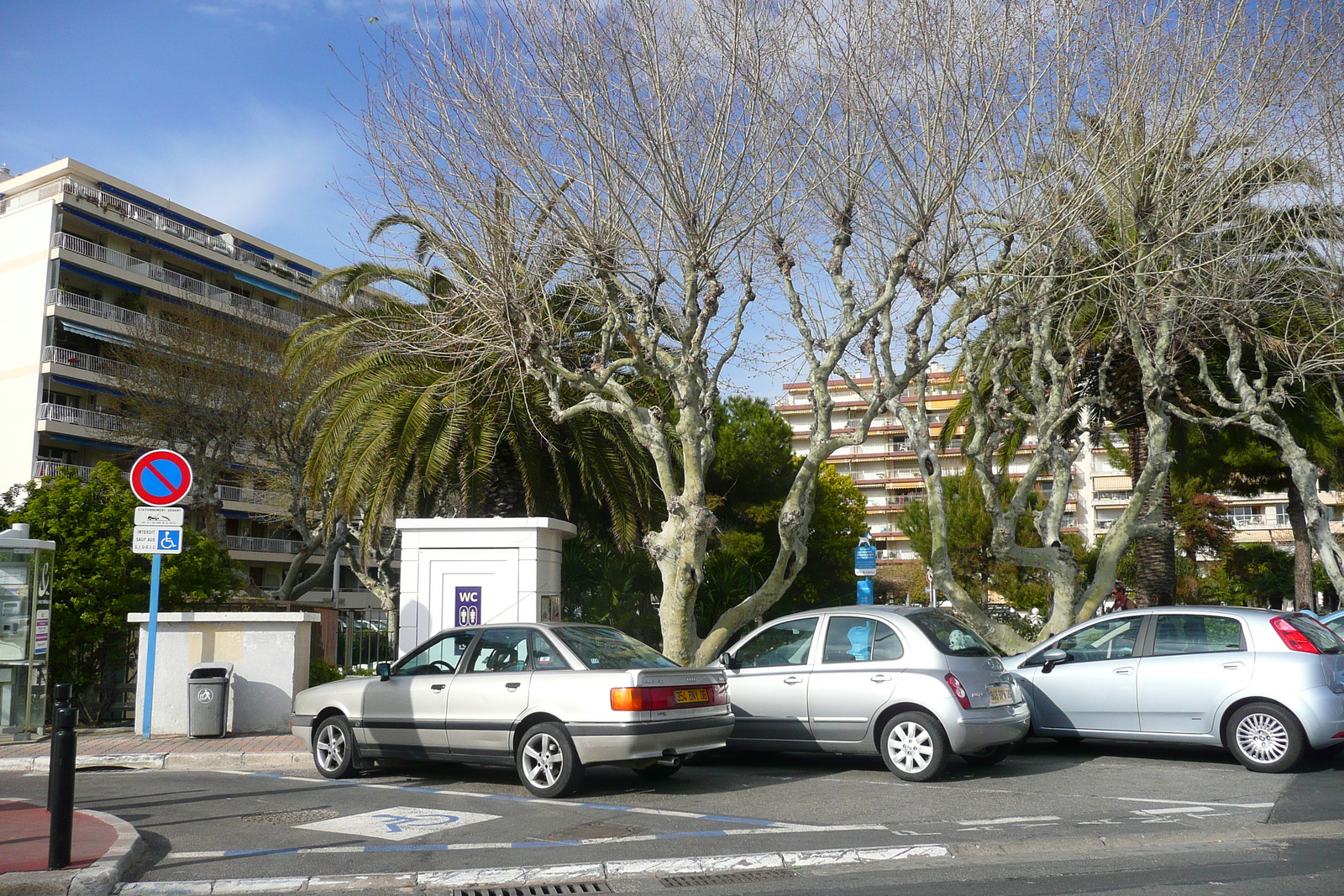 照片 法国(France) 戛纳(Cannes) 南部海滩(Plage du midi) 2008-03 12