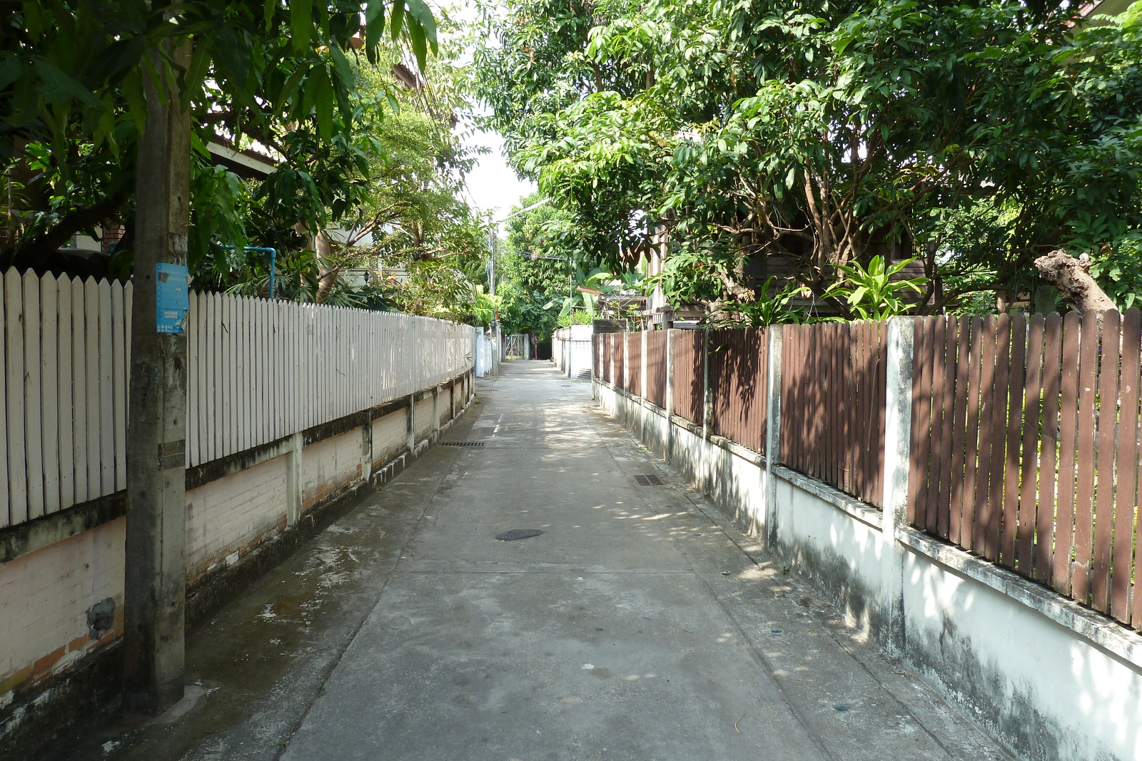 照片 泰国(Thailand) 清迈(Chiang Mai) 2010-12 14
