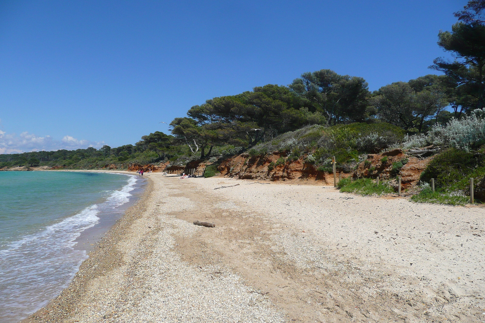 照片 法国(France) 波克罗勒岛(Porquerolles Island) 库尔塔德海滩(Courtade beach) 2008-05 45