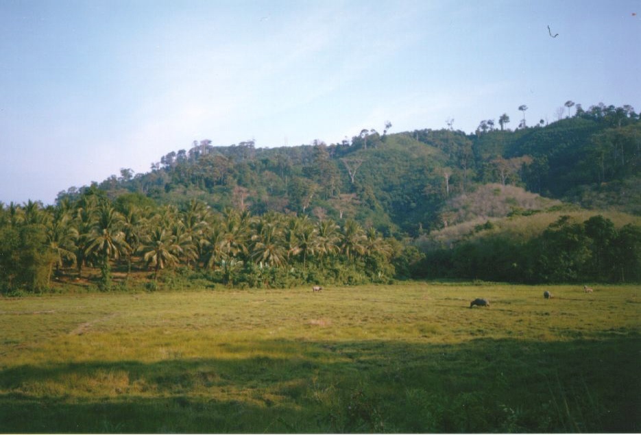 照片 泰国(Thailand) 普吉岛(Phuket) 1994-02 3