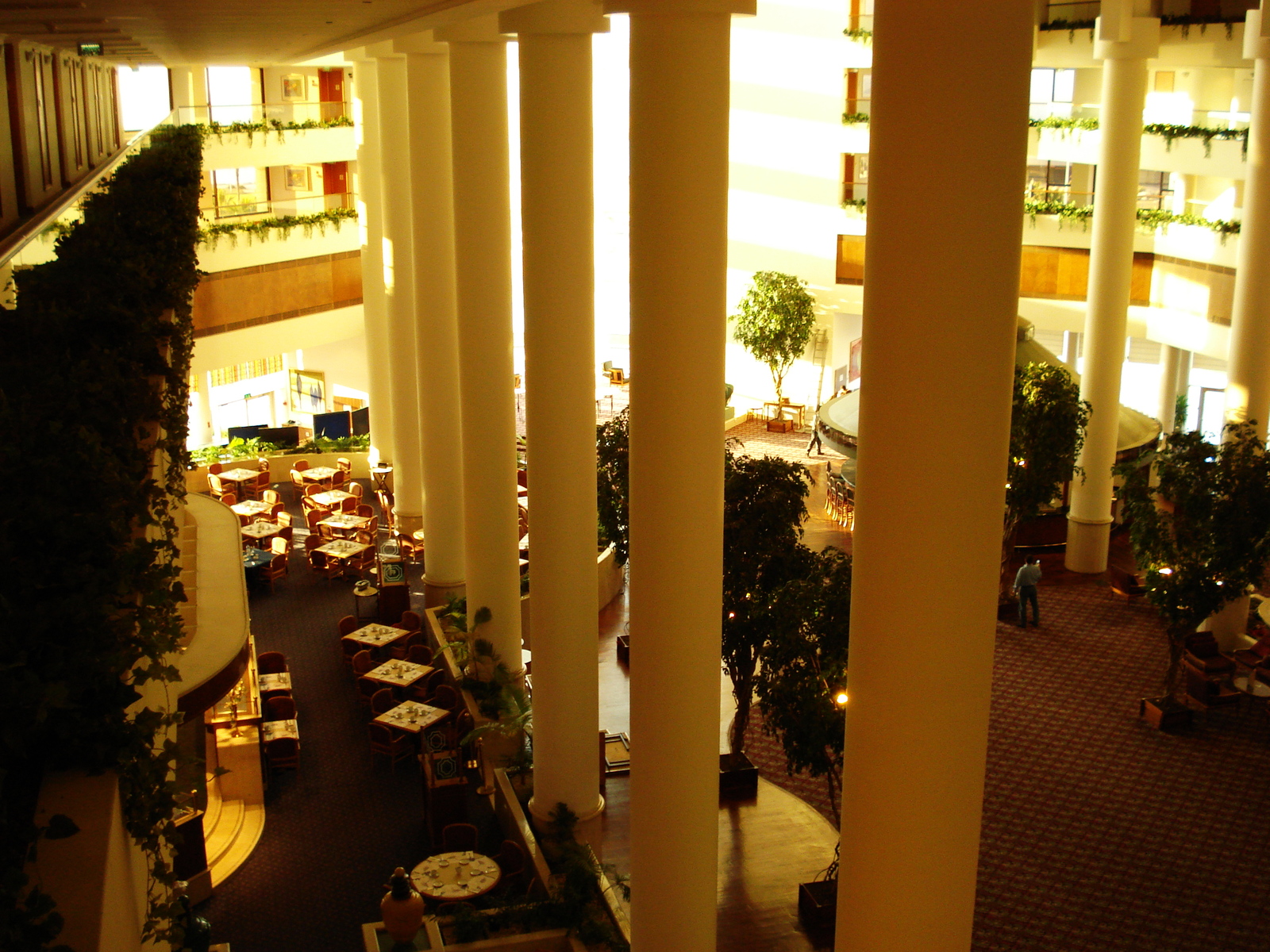 照片 以色列(Israel) 特拉维夫(Tel Aviv) 大卫洲际酒店(David Intercontinental Hotel) 2006-12 57