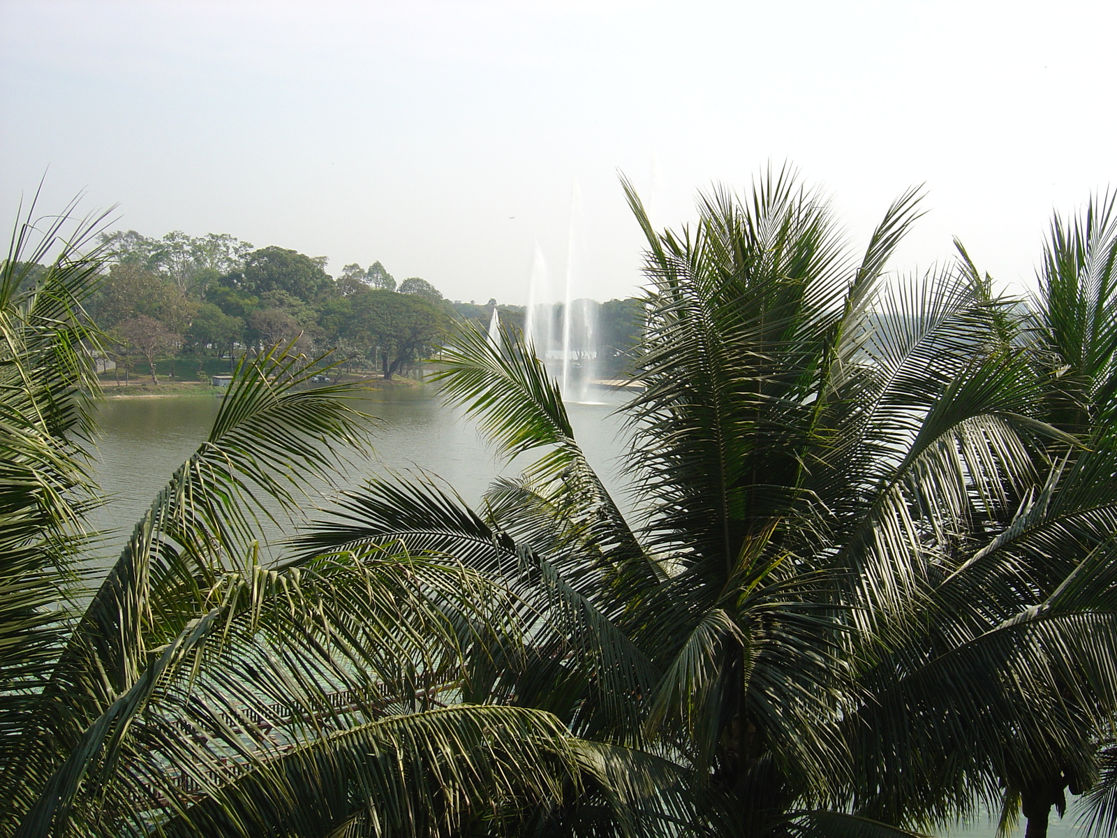 照片 缅甸(Myanmar) 仰光(Yangon) 甘达基宫殿酒店(Kandawgyi Palace Hotel) 2005-01 48