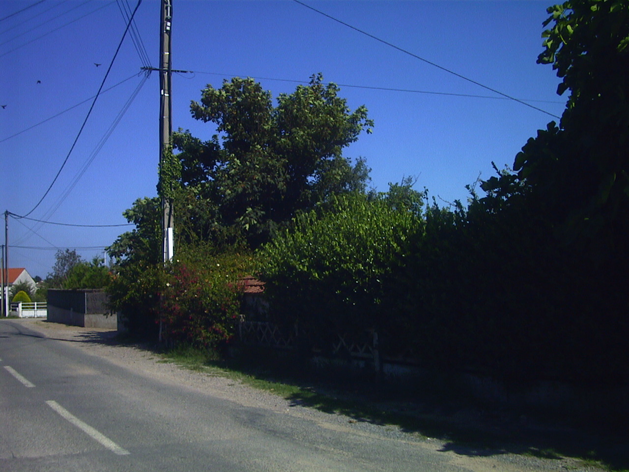 照片 法国(France) 滨海拉普莱讷(La Plaine sur mer) 1999-07 4