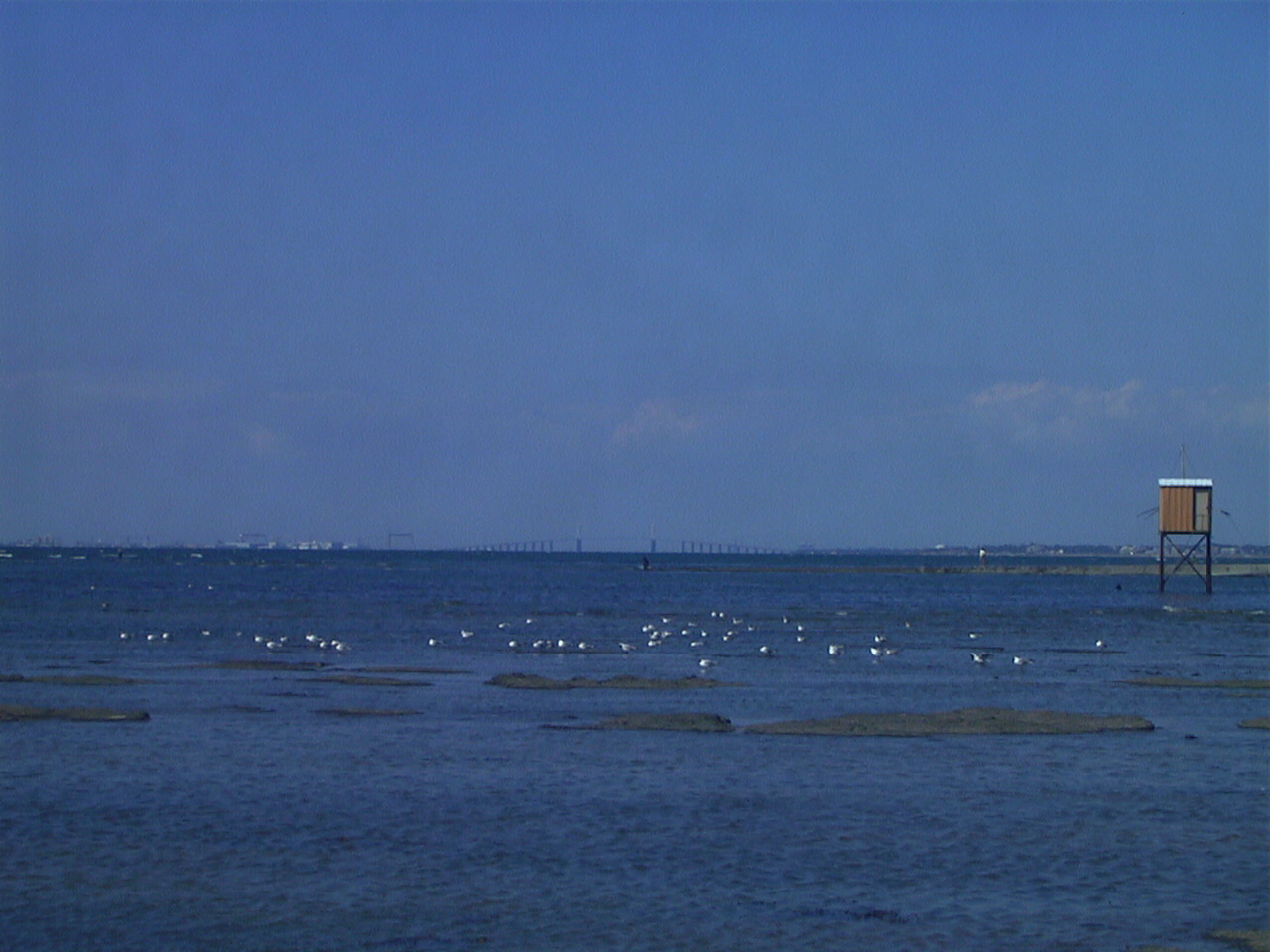 照片 法国(France) 滨海拉普莱讷(La Plaine sur mer) 1999-07 16