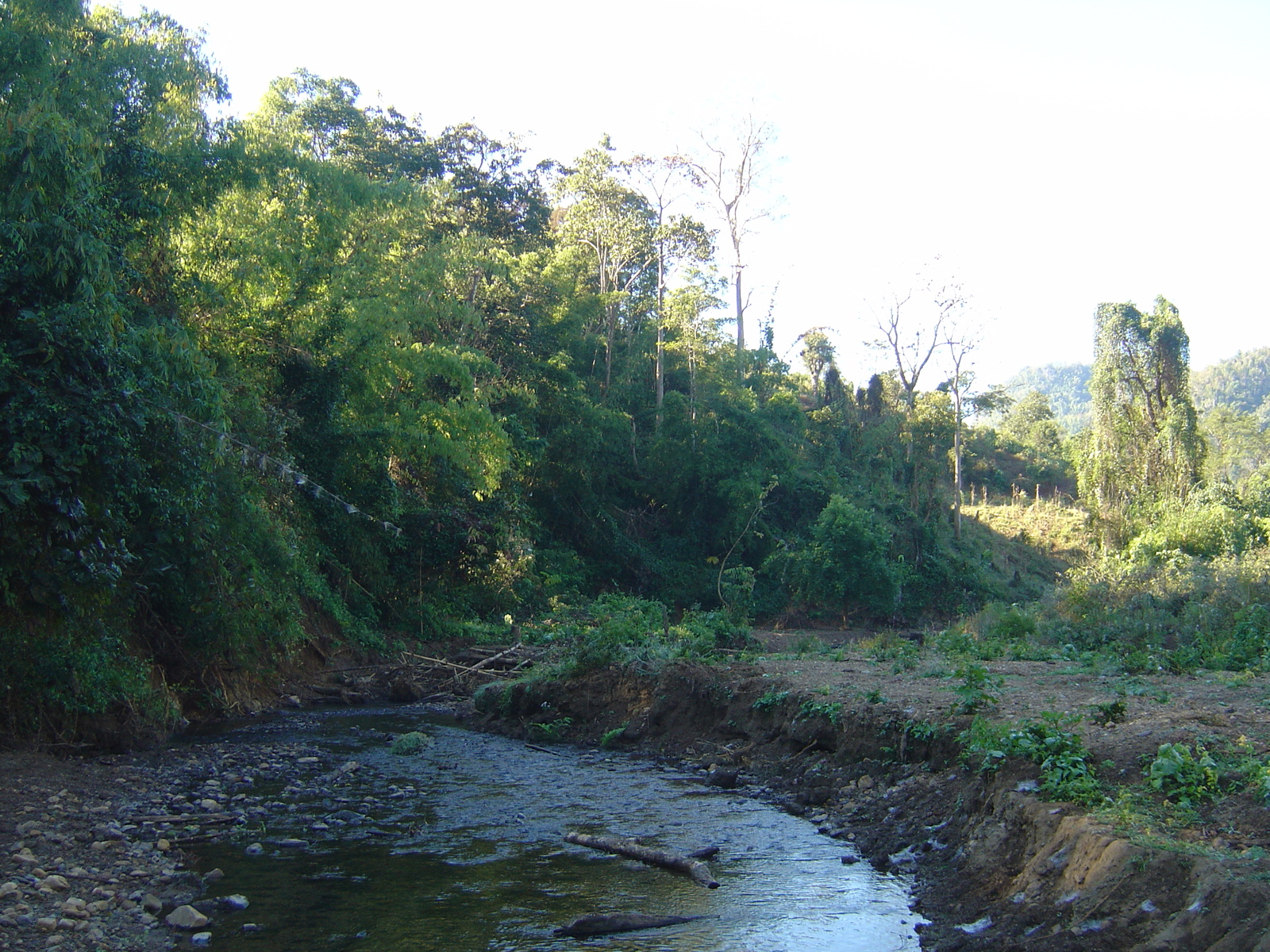 照片 泰国(Thailand) 邦玛帕(Pang Mapha) 2005-12 132