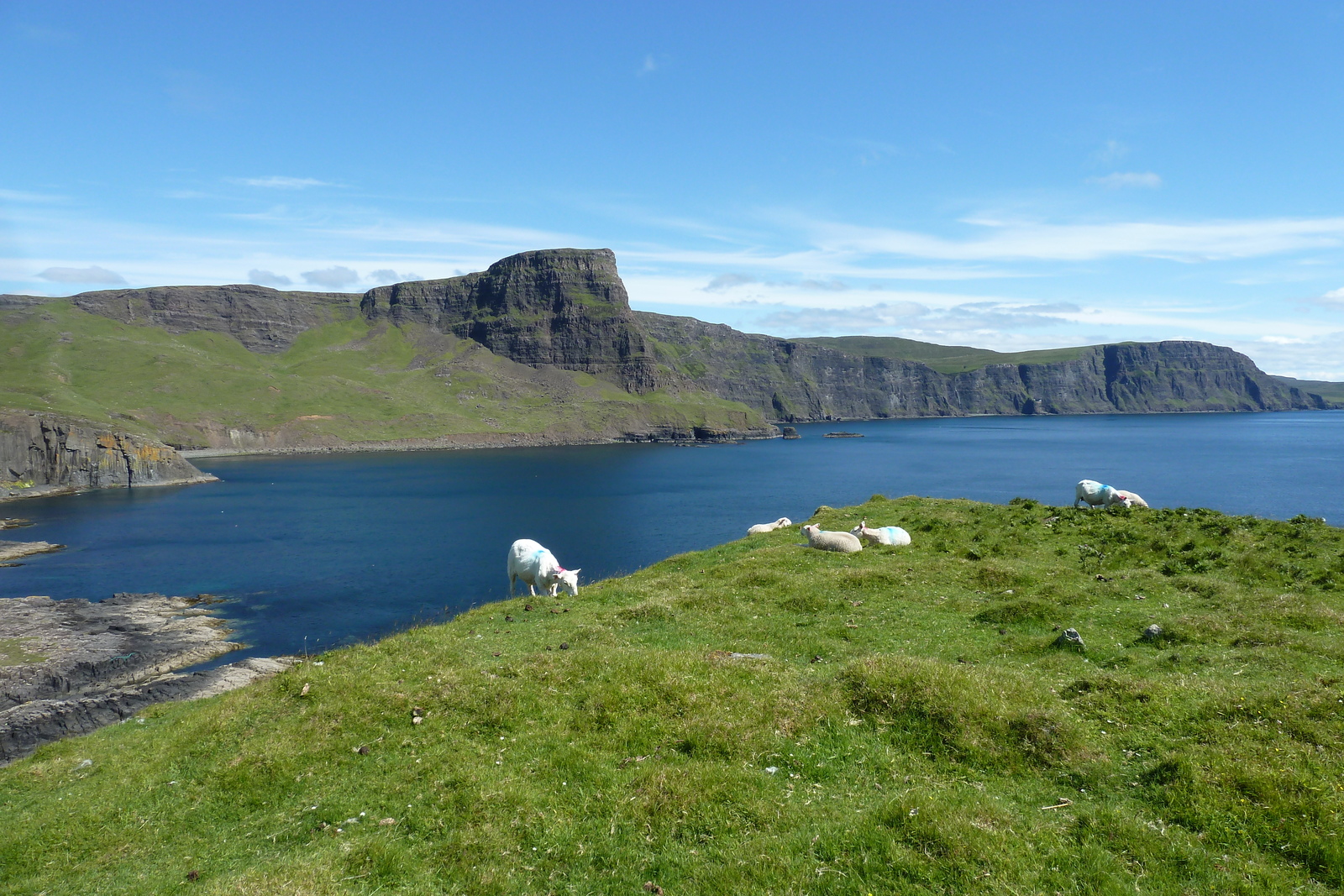照片 英国(United Kingdom) 苏格兰(Scotland) 2011-07 175