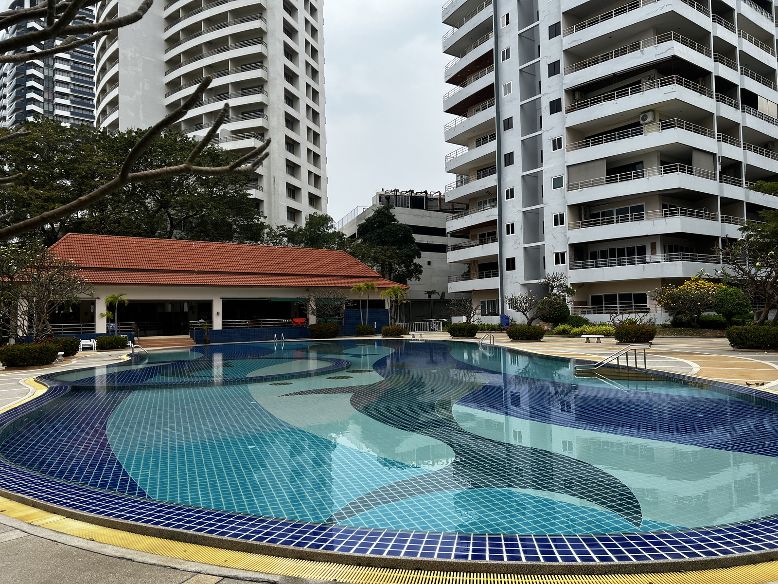 照片 泰国(Thailand) 芭提雅(Pattaya) 2023-01 21