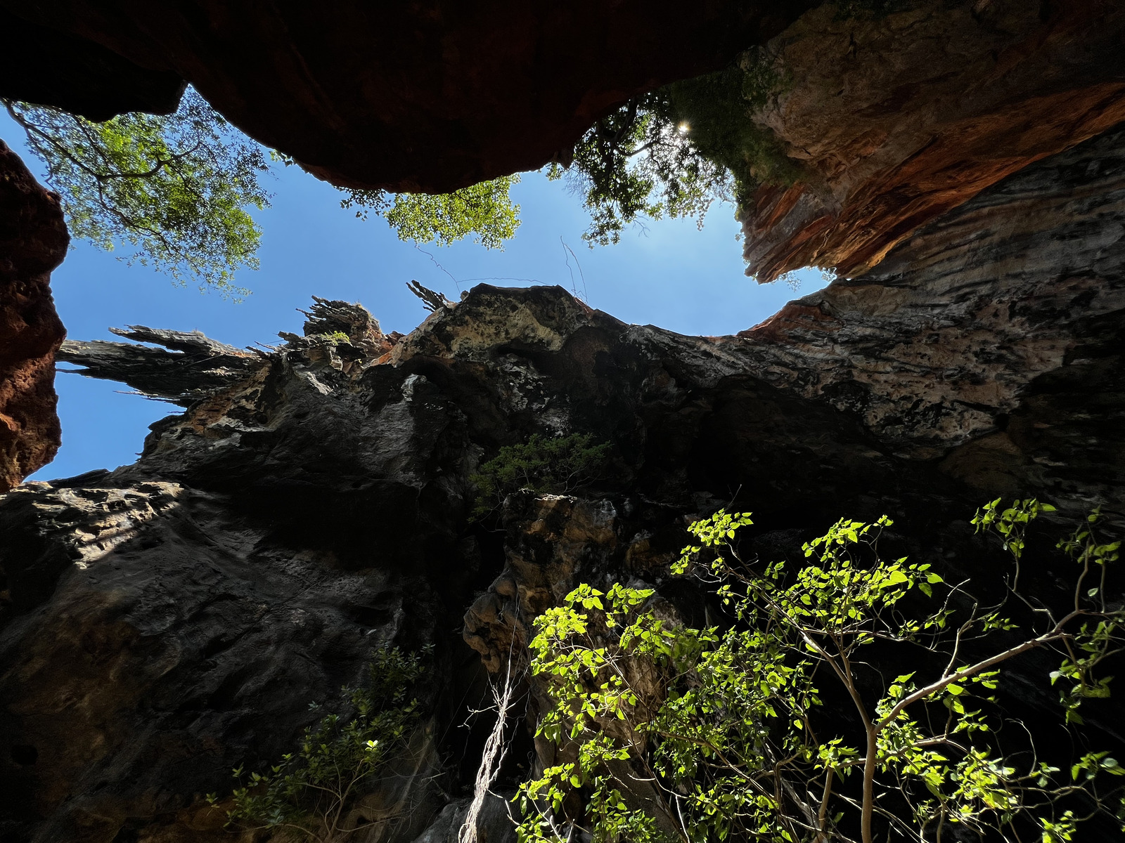 照片 泰国(Thailand) 甲米(Krabi) 2023-01 127