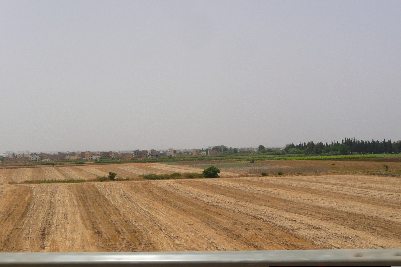 照片 摩洛哥(Morocco) 非斯至拉巴特公路(Fes to Rabat Road) 2008-07 79