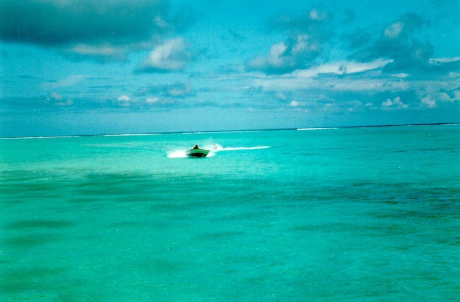照片 波利尼西亚(Polynesia) 莫雷阿岛(Moorea) 1993-04 100