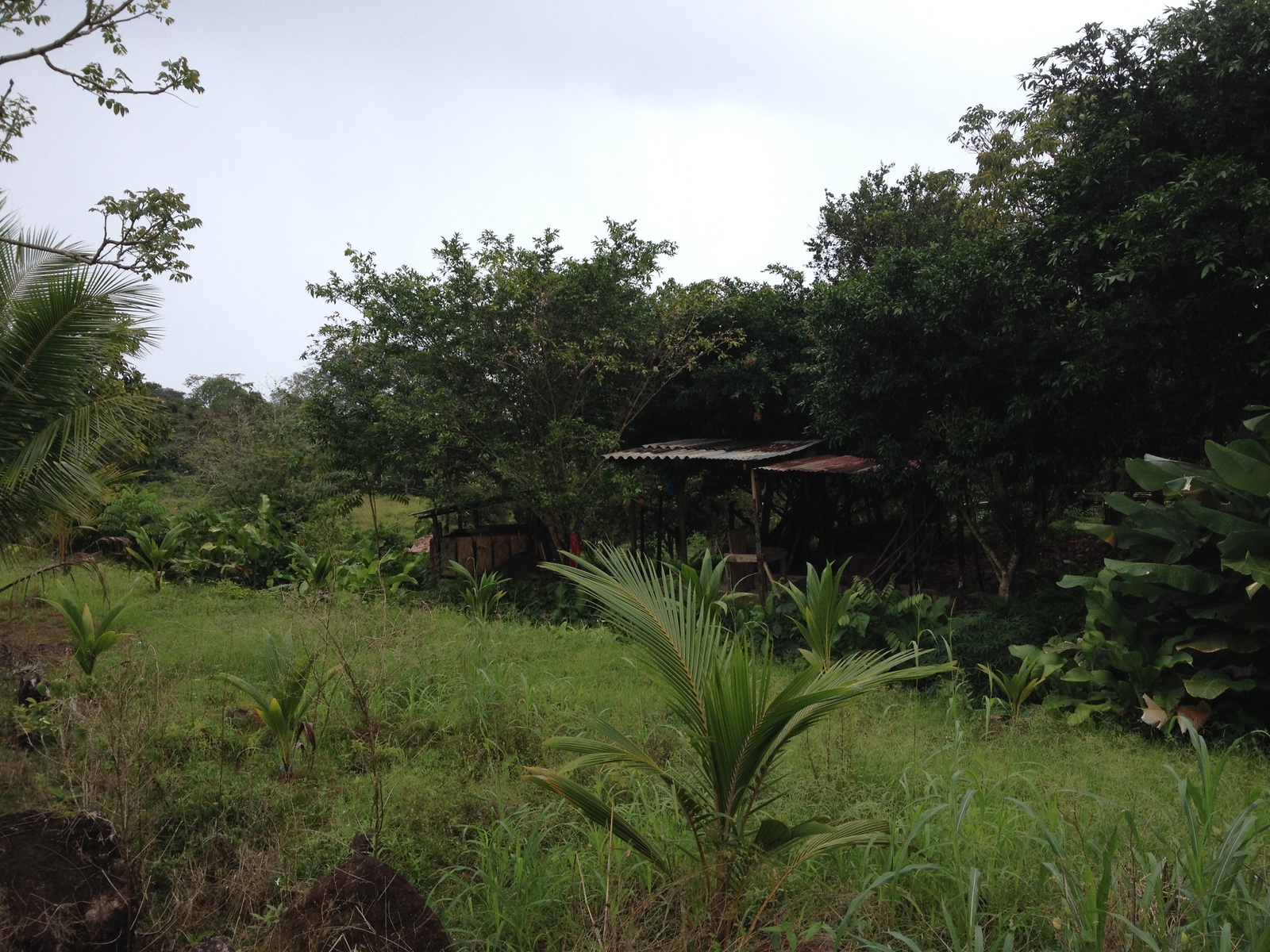 照片 巴拿马(Panama) 戴维至博卡斯德尔托罗(David to Bocas del toro) 2015-03 48