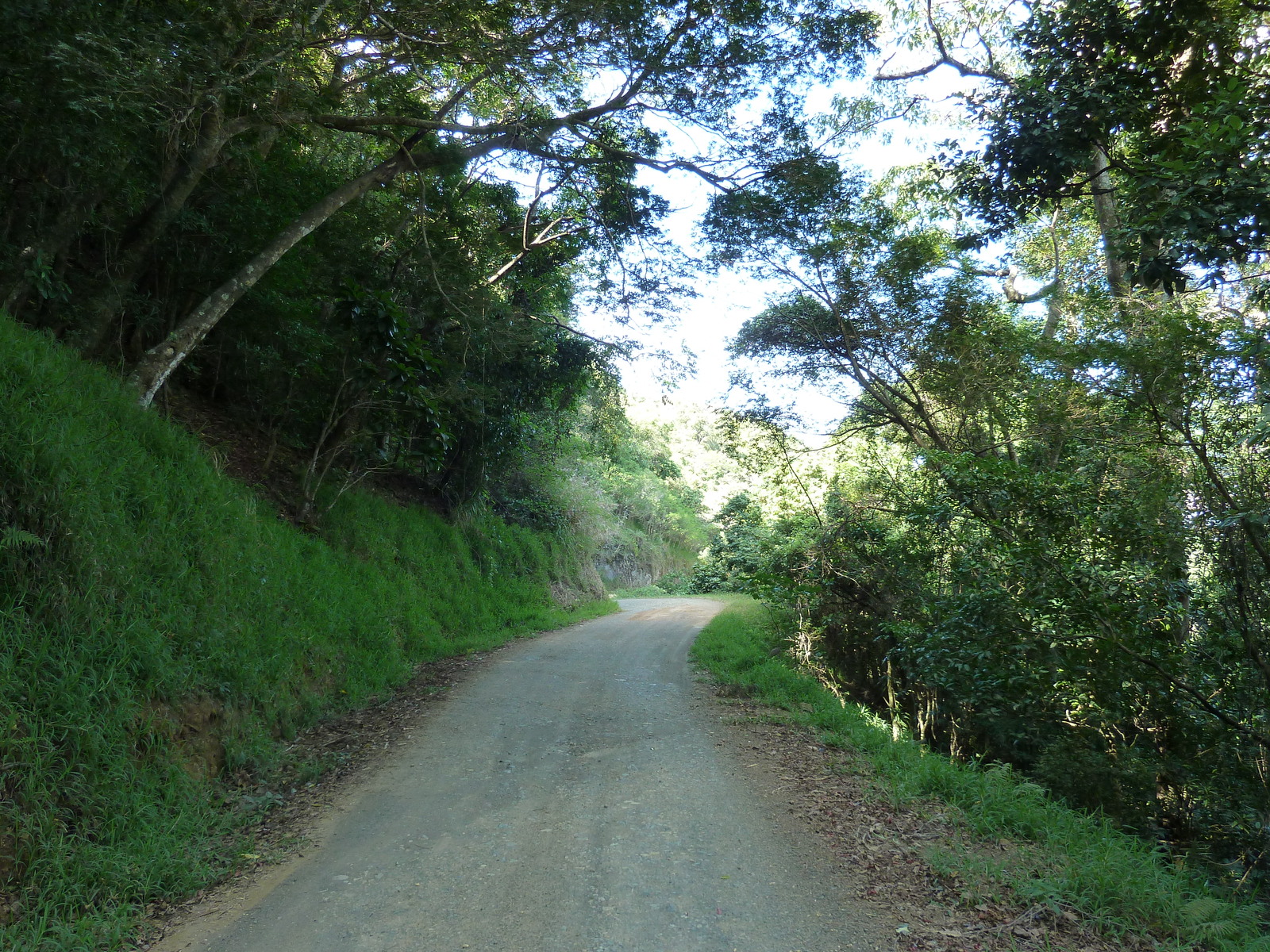 照片 新喀里多尼亚(New Caledonia) 蒂奥至卡纳拉公路(Thio to Canala road) 2010-05 54