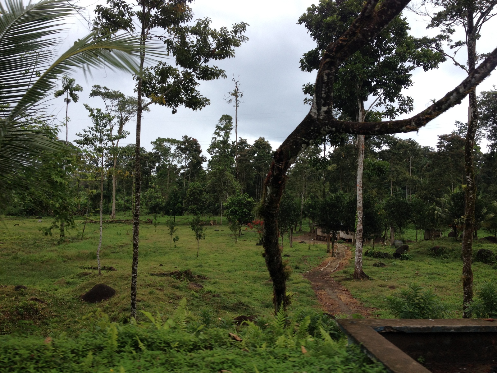 照片 巴拿马(Panama) 戴维至博卡斯德尔托罗(David to Bocas del toro) 2015-03 61