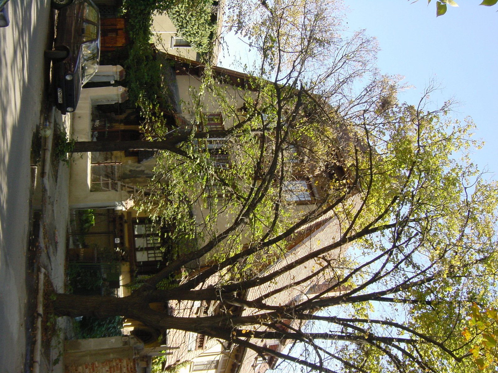 照片 罗马尼亚(Romania) 布加勒斯特(Bucharest) 2003-10 21