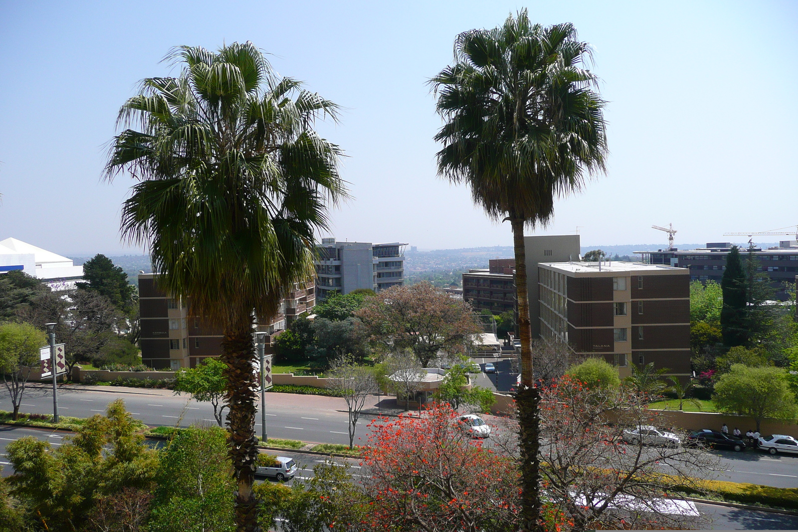照片 南非(South Africa) 约翰内斯堡(Johannesburg) 洲际酒店(Intercontinental Hotel) 2008-09 39