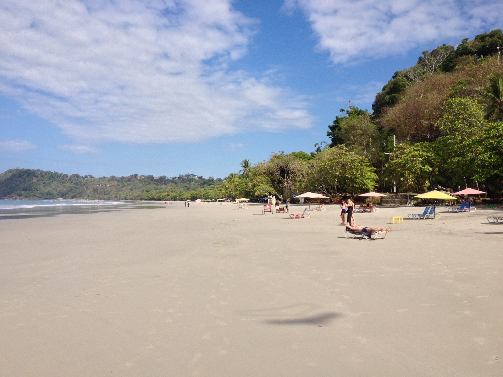 照片 哥斯达黎加(Costa Rica) 曼努埃尔安东尼奥(Manuel Antonio) 2015-03 411