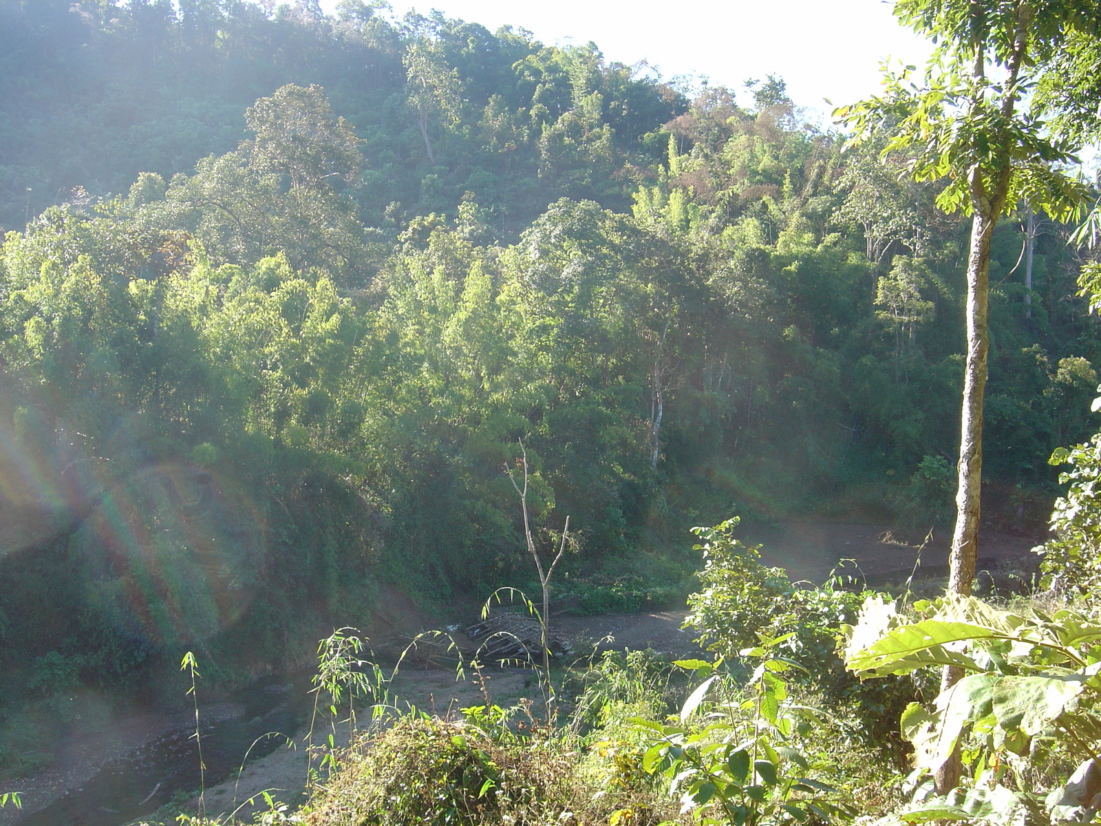 照片 泰国(Thailand) 邦玛帕(Pang Mapha) 2005-12 131