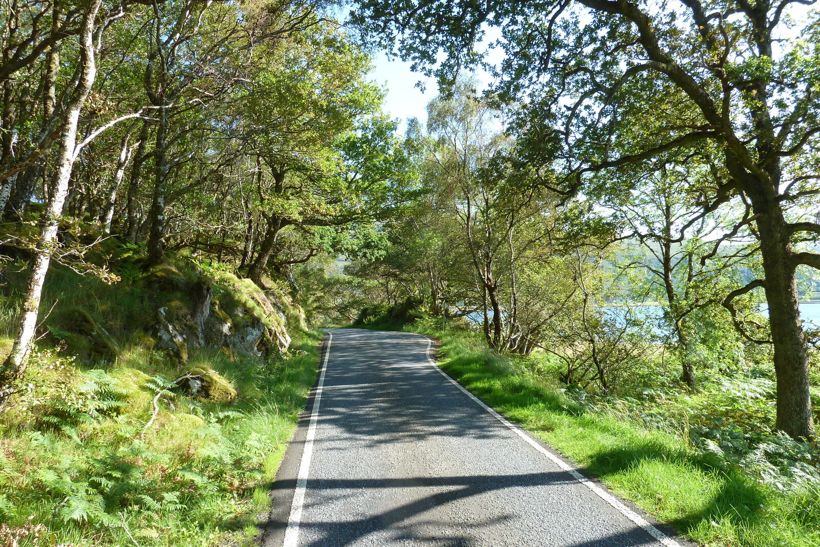 照片 英国(United Kingdom) 苏格兰(Scotland) 萨伦(Salen) 2011-07 61