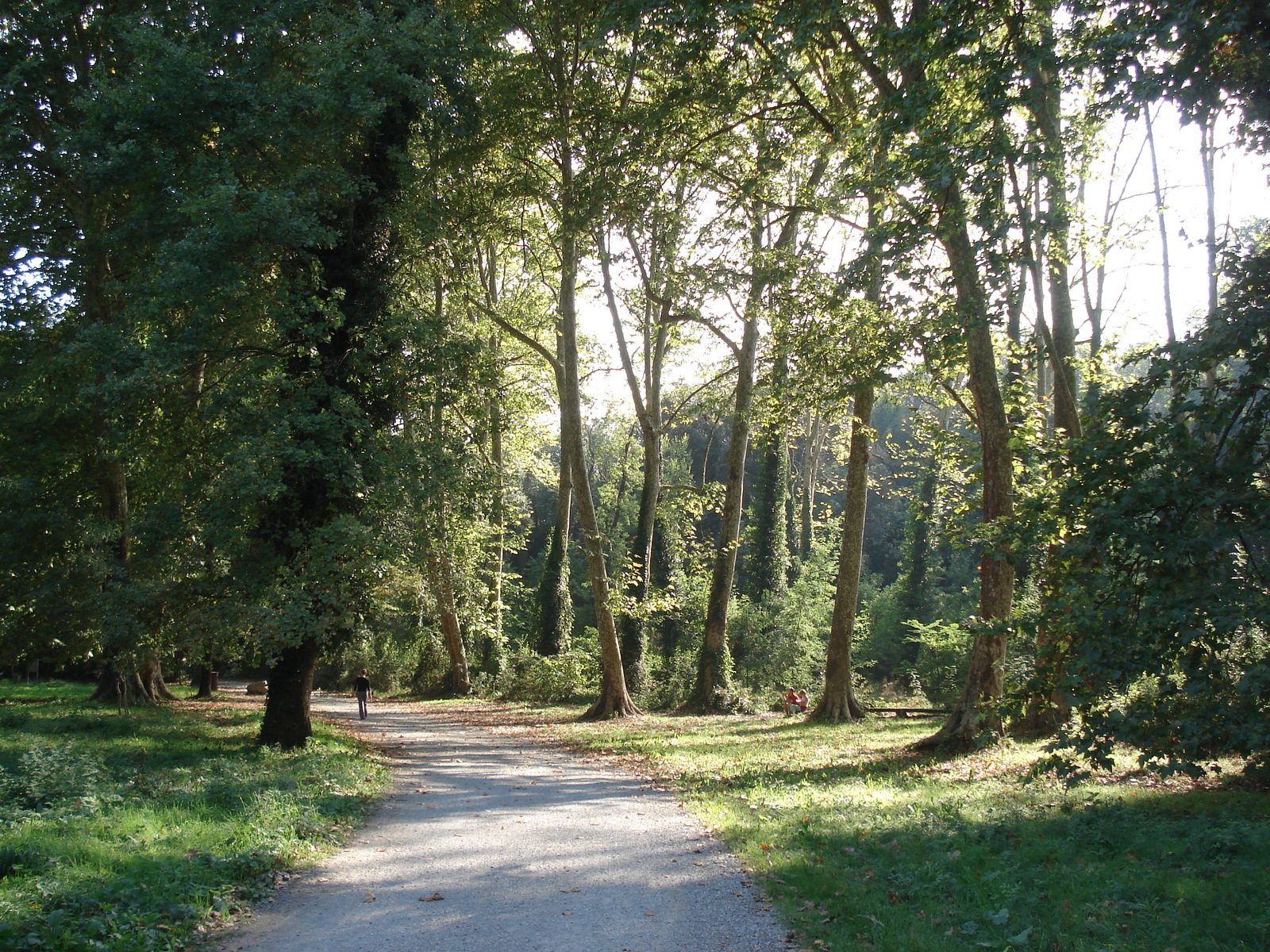 照片 法国(France) 维尔讷夫卢贝(Villeneuve Loubet) 2006-10 6