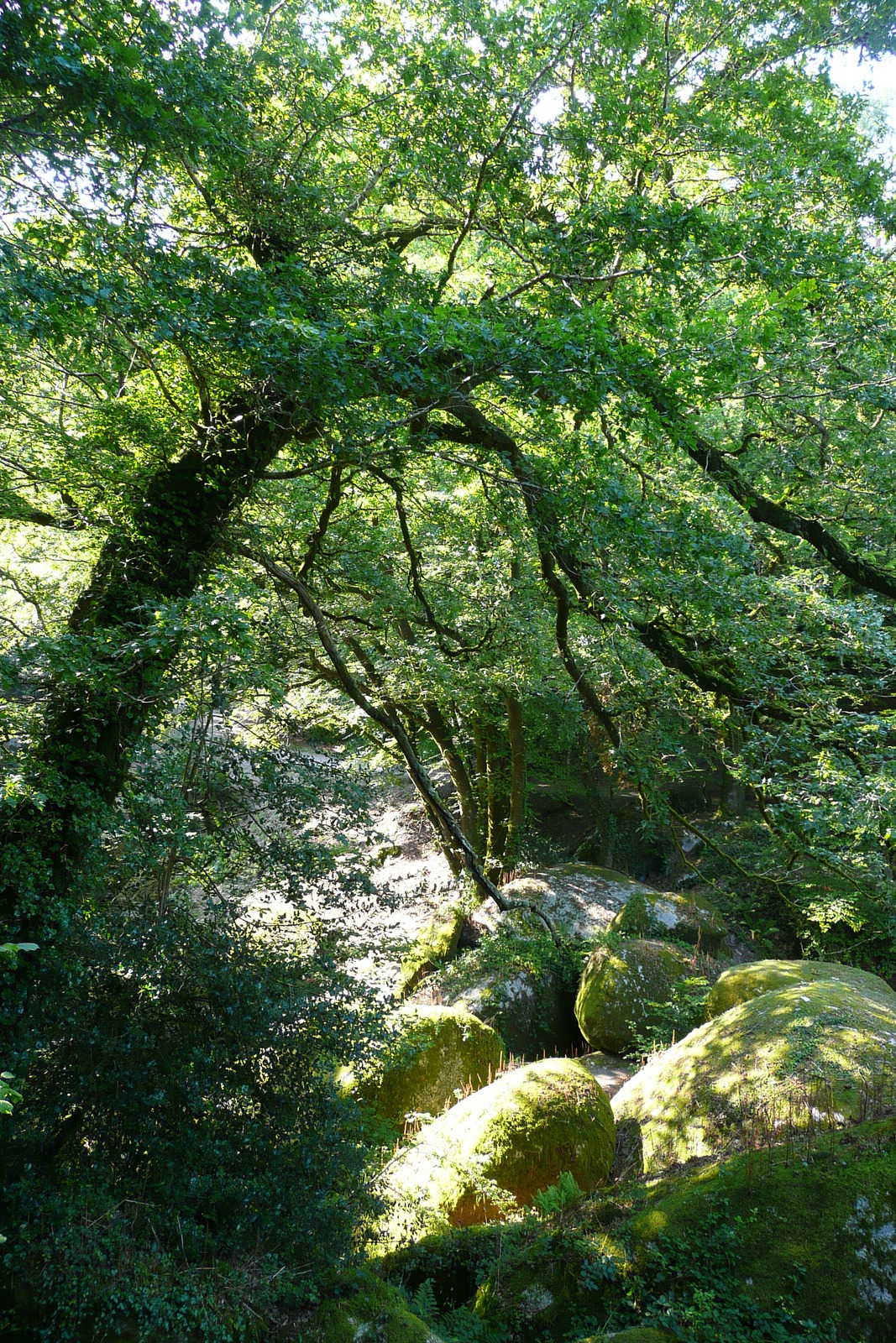 照片 法国(France) 于埃尔瓜特(Huelgoat) 2007-08 128