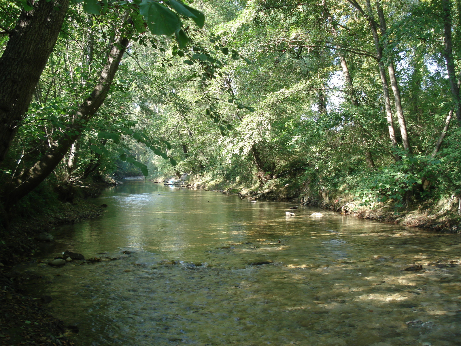 照片 法国(France) 维尔讷夫卢贝(Villeneuve Loubet) 2006-10 15