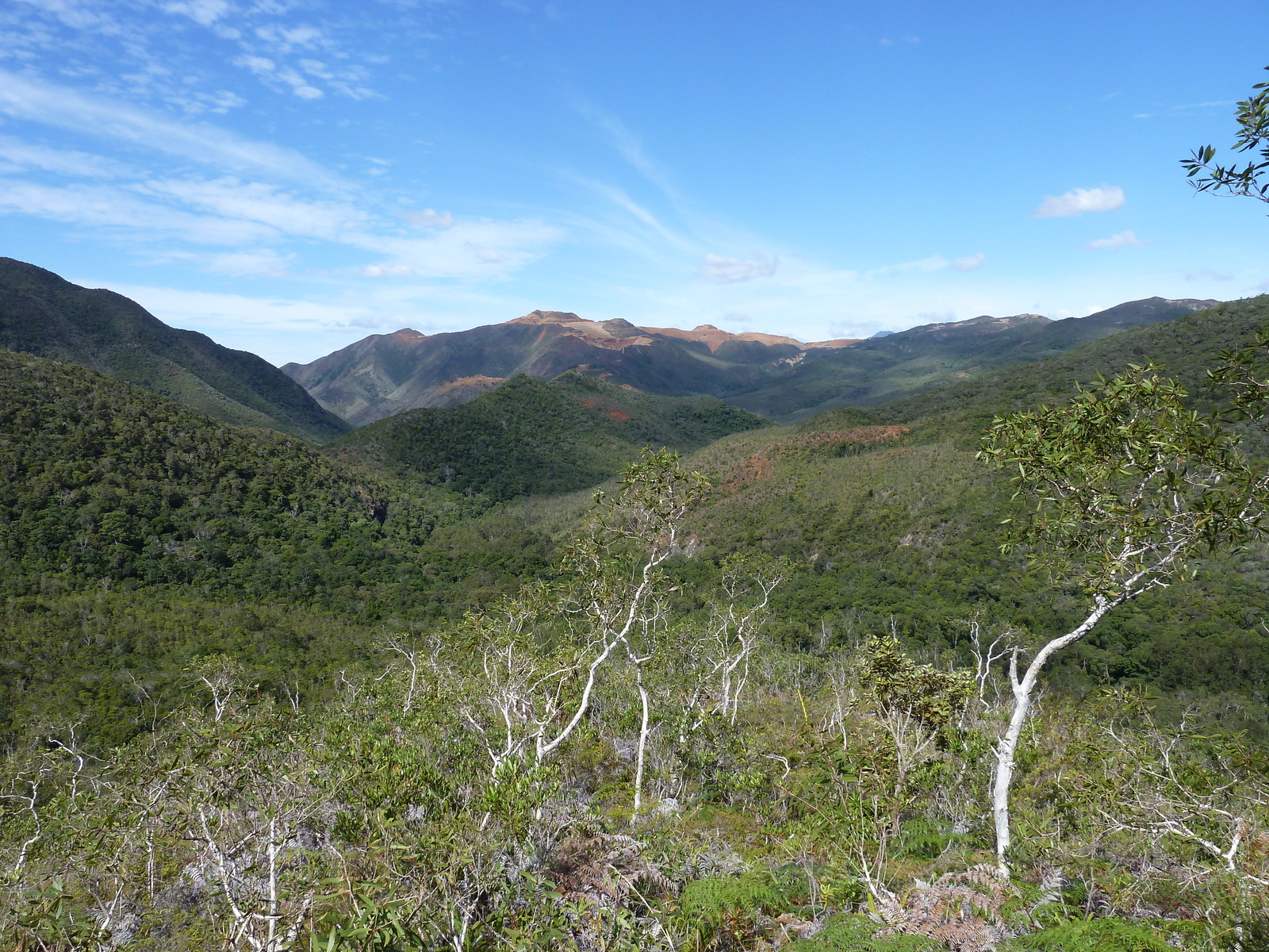 照片 新喀里多尼亚(New Caledonia) 蒂奥至卡纳拉公路(Thio to Canala road) 2010-05 30