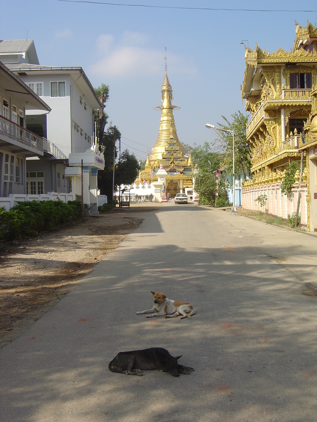 照片 缅甸(Myanmar) 仰光(Yangon) 2005-01 67