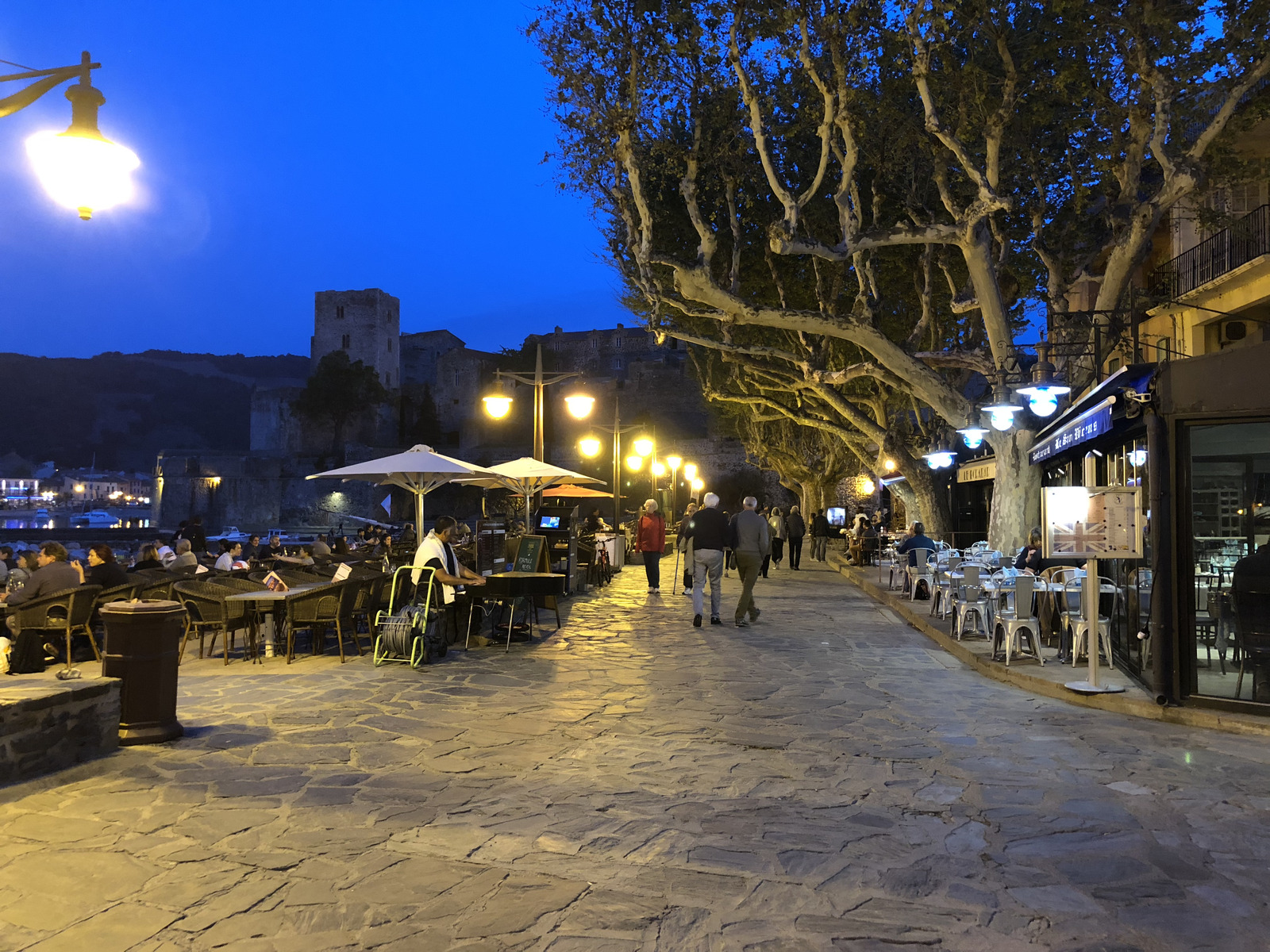 照片 法国(France) 科利乌尔(Collioure) 2018-04 216