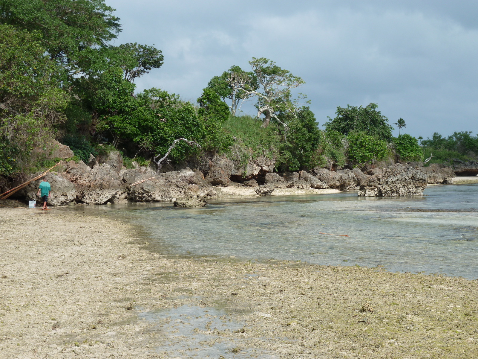 照片 斐济(Fiji) 楠迪至纳塔多拉公路(Nadi to Natadola road) 2010-05 64