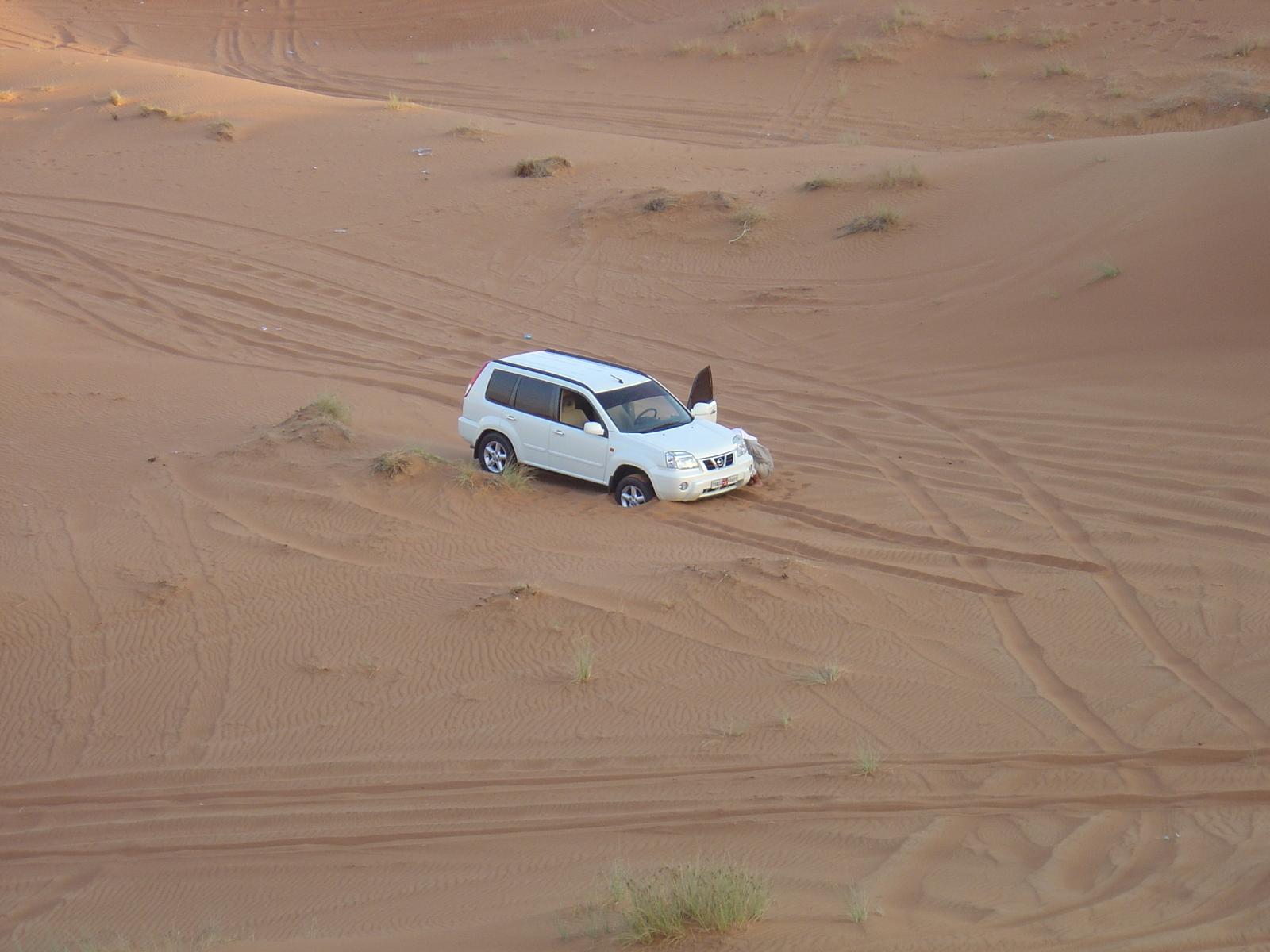 照片 阿联酋(United Arab Emirates) 艾因(Al Ain) 沙漠(Desert) 2005-11 3