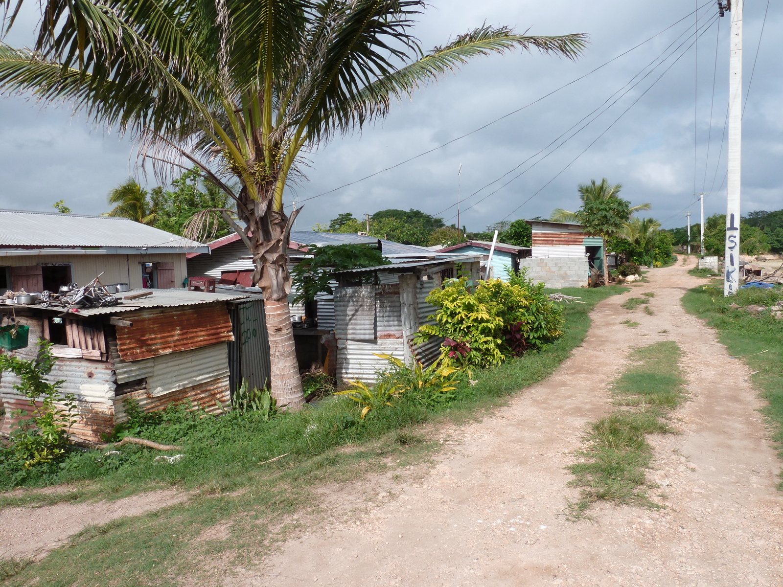 照片 斐济(Fiji) 楠迪至纳塔多拉公路(Nadi to Natadola road) 2010-05 80