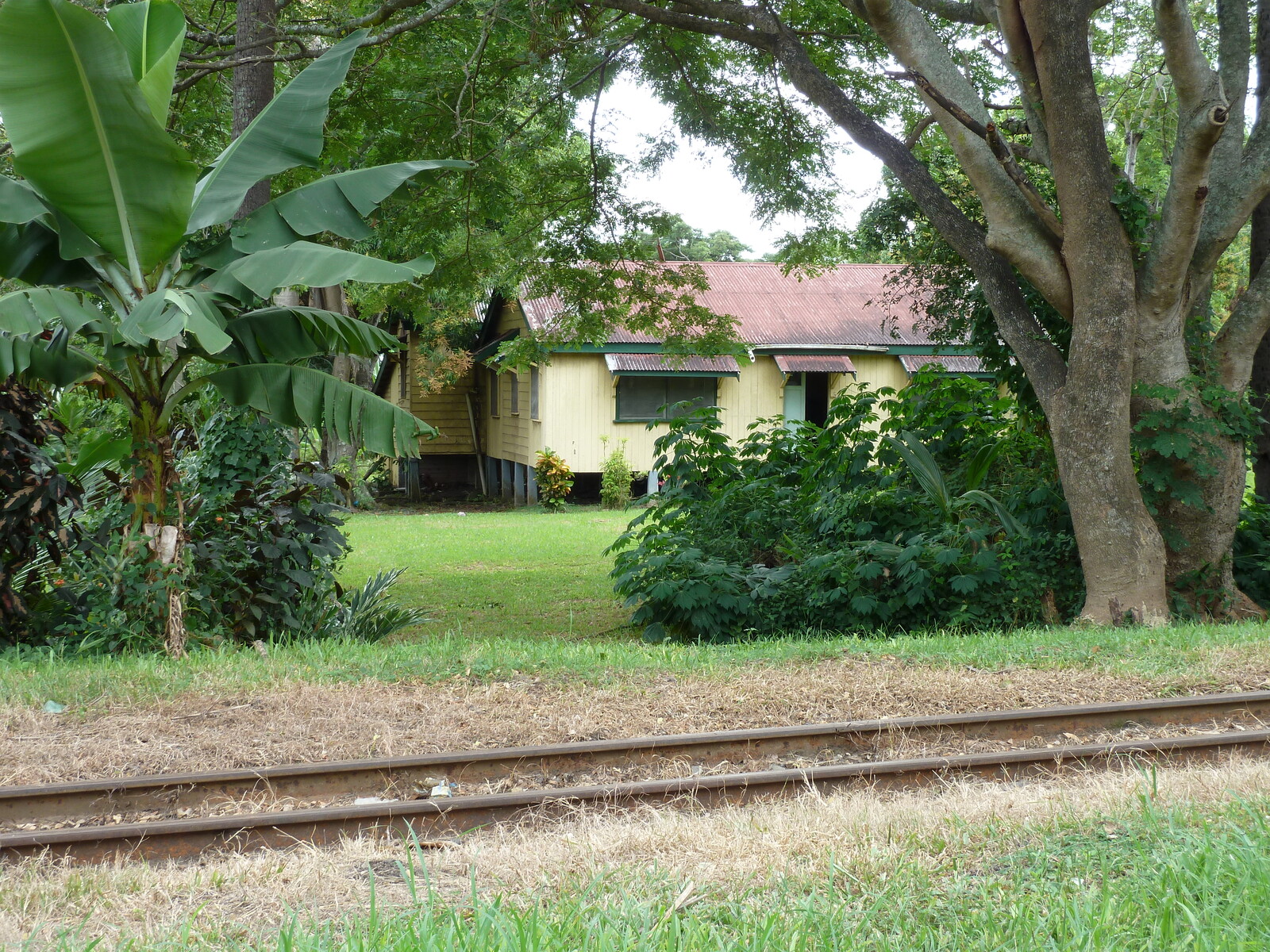 照片 斐济(Fiji) 劳托卡(Lautoka) 2010-05 18