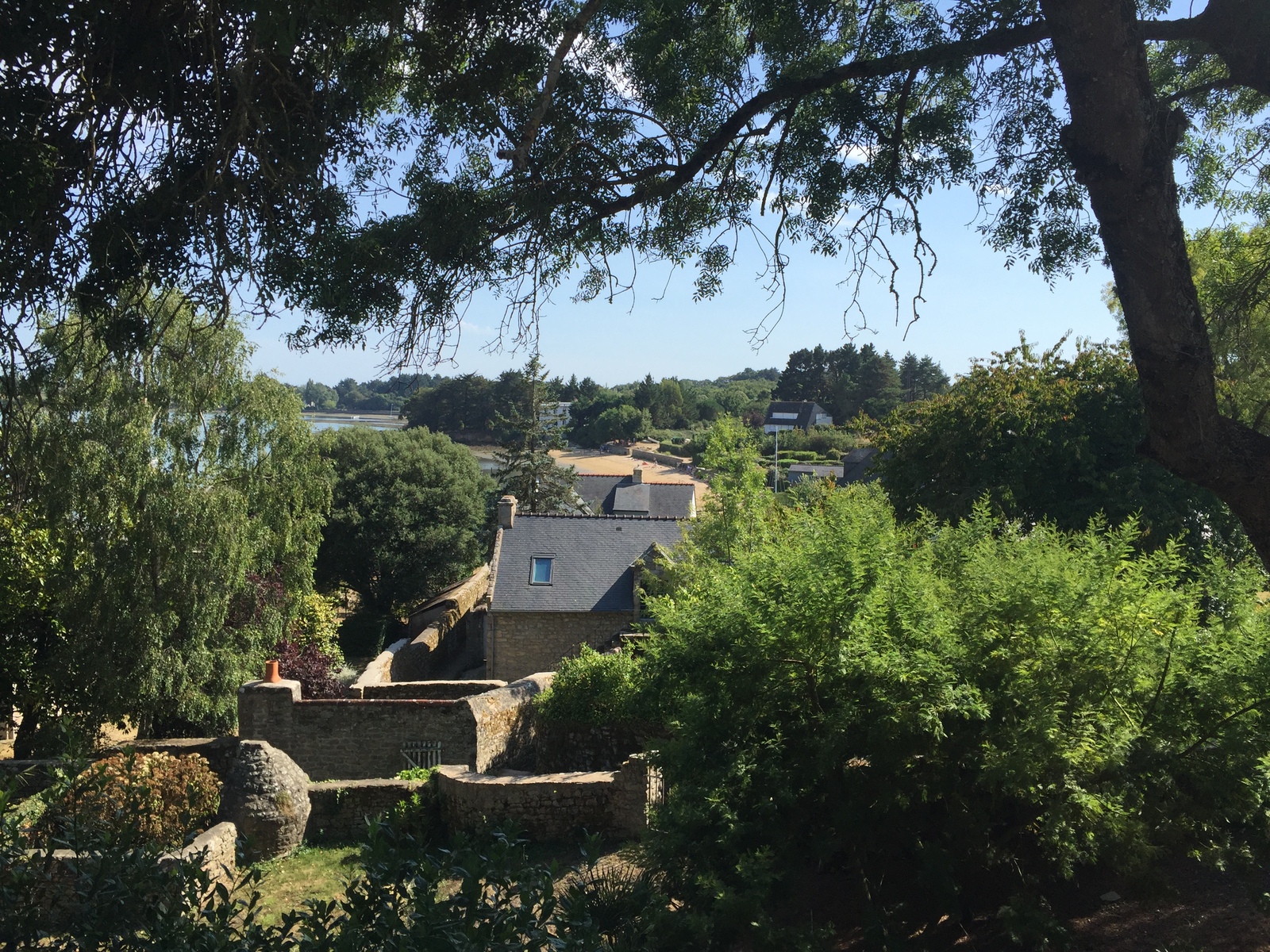 照片 法国(France) 僧侣岛(Ile-aux-Moines) 2016-08 62