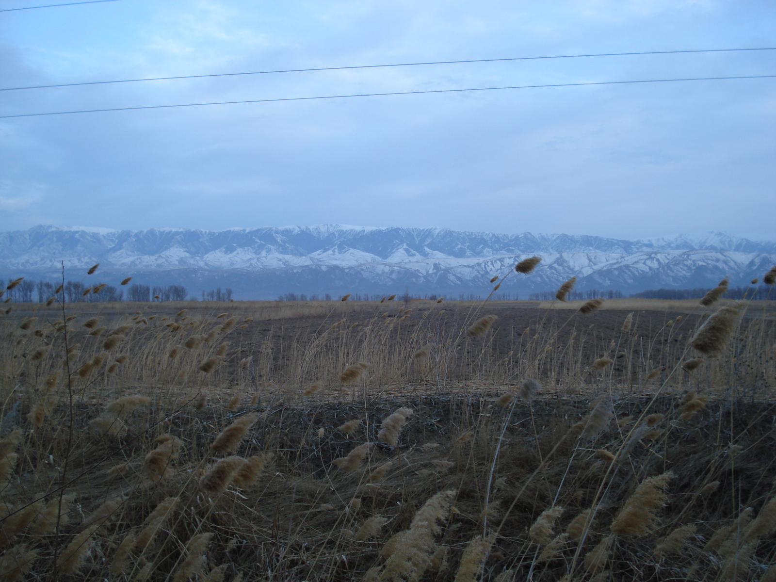 照片 哈萨克斯坦(Kazakhstan) 阿拉木图至恰伦峡谷公路(Almaty to Charyn Canyon road) 2007-03 139