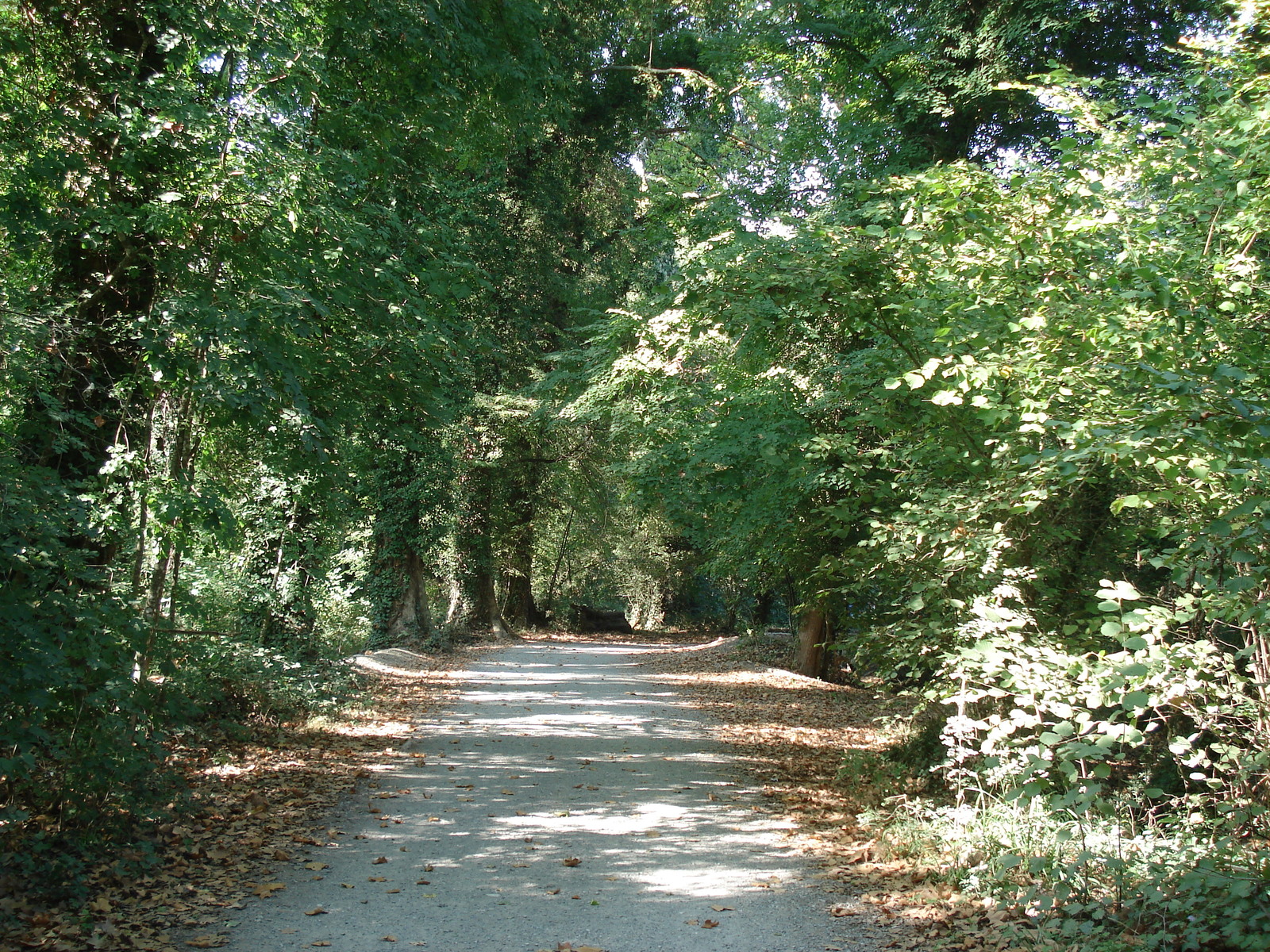照片 法国(France) 维尔讷夫卢贝(Villeneuve Loubet) 2006-10 26