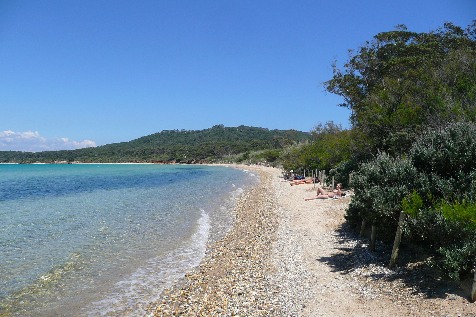 照片 法国(France) 波克罗勒岛(Porquerolles Island) 库尔塔德海滩(Courtade beach) 2008-05 57