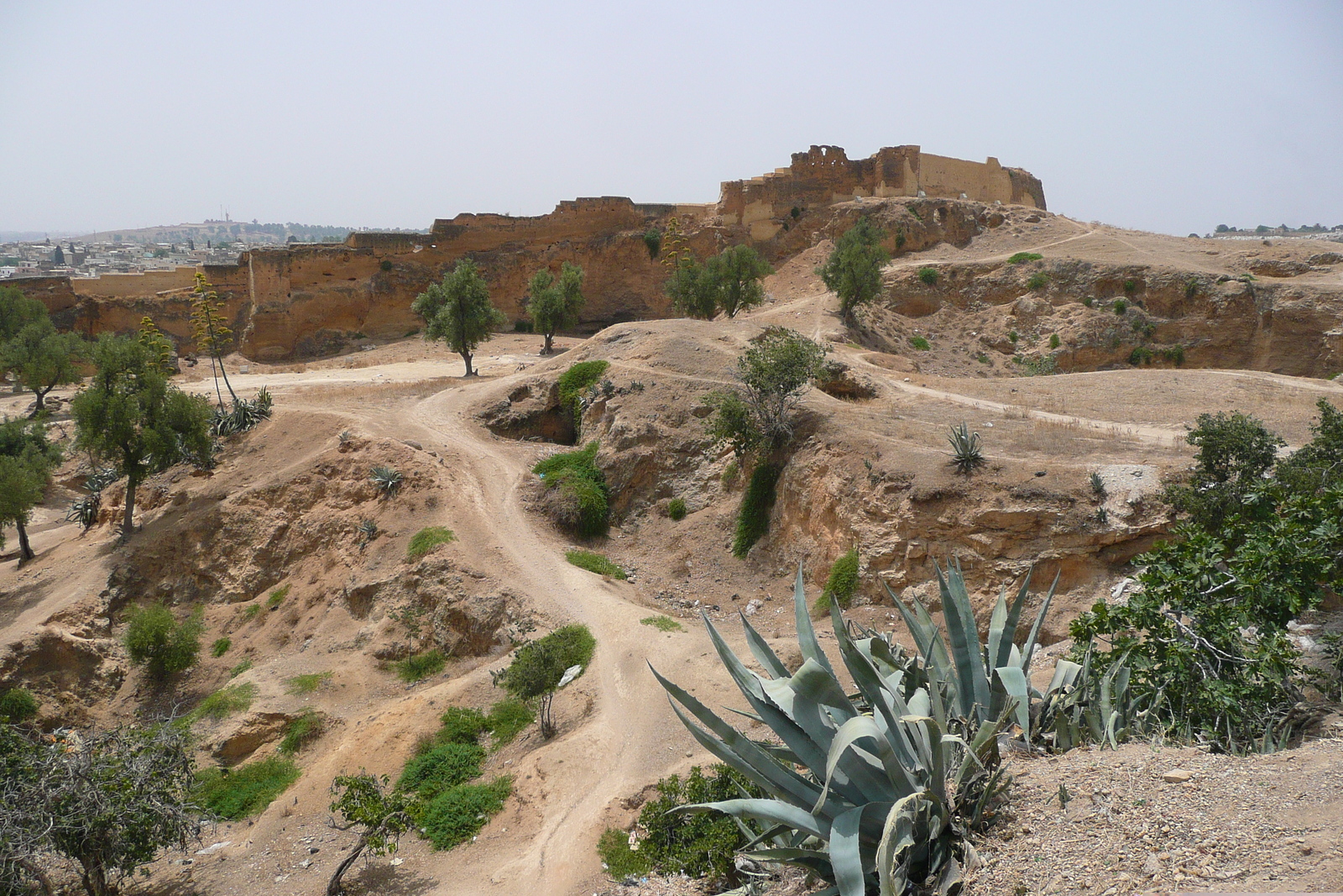照片 摩洛哥(Morocco) 非斯至拉巴特公路(Fes to Rabat Road) 2008-07 1