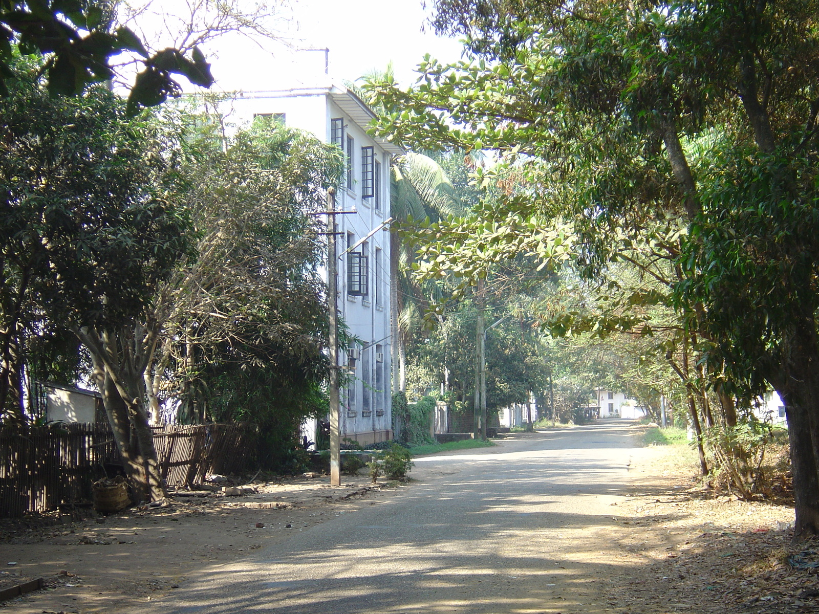 照片 缅甸(Myanmar) 仰光(Yangon) 2005-01 40
