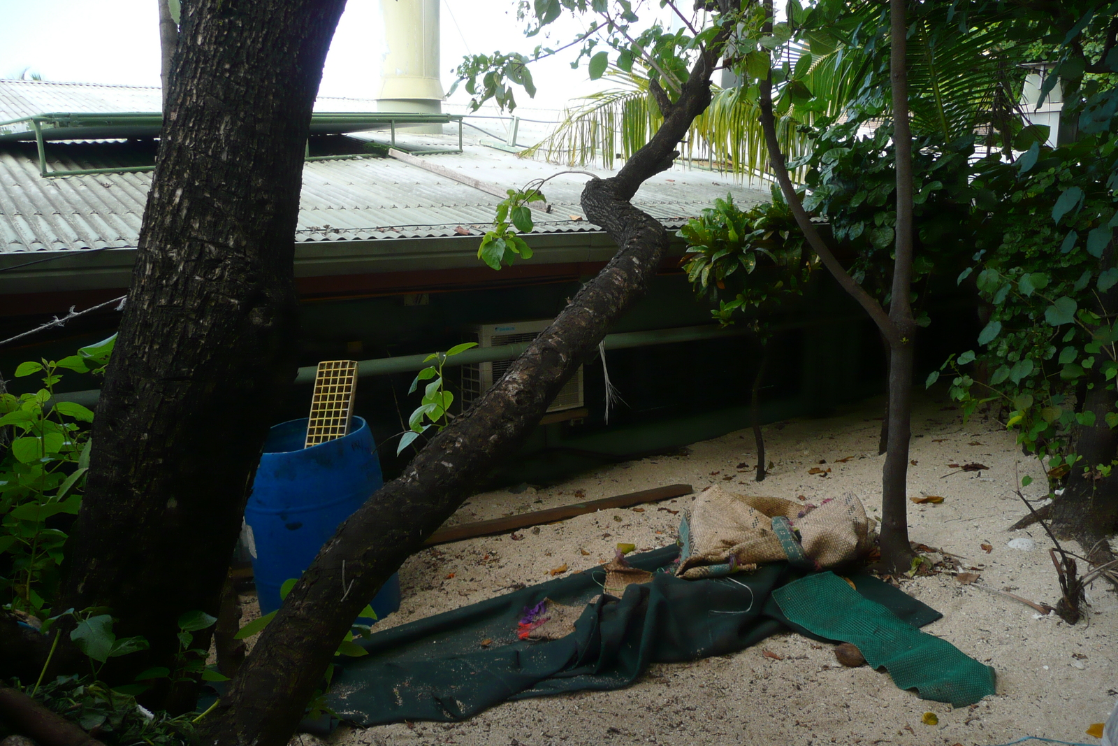 照片 斐济(Fiji) 海滩寻宝者岛(Beachcomber Island) 2010-05 47