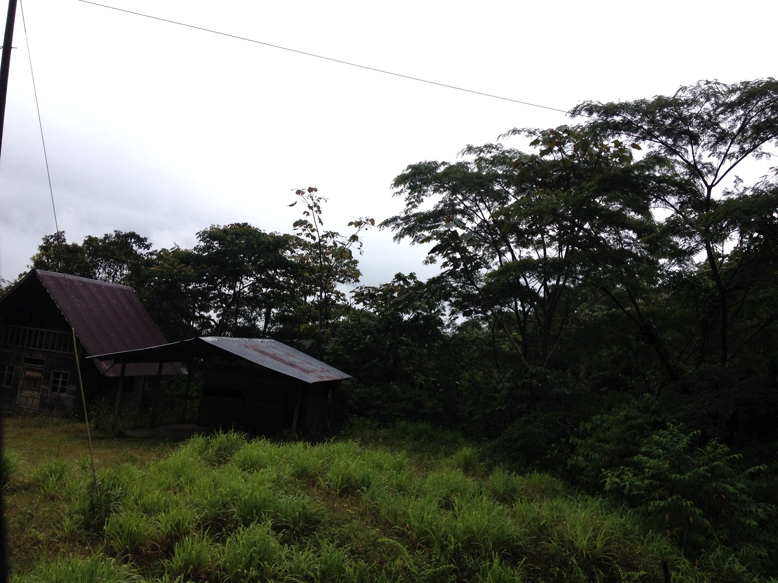 照片 巴拿马(Panama) 戴维至博卡斯德尔托罗(David to Bocas del toro) 2015-03 76