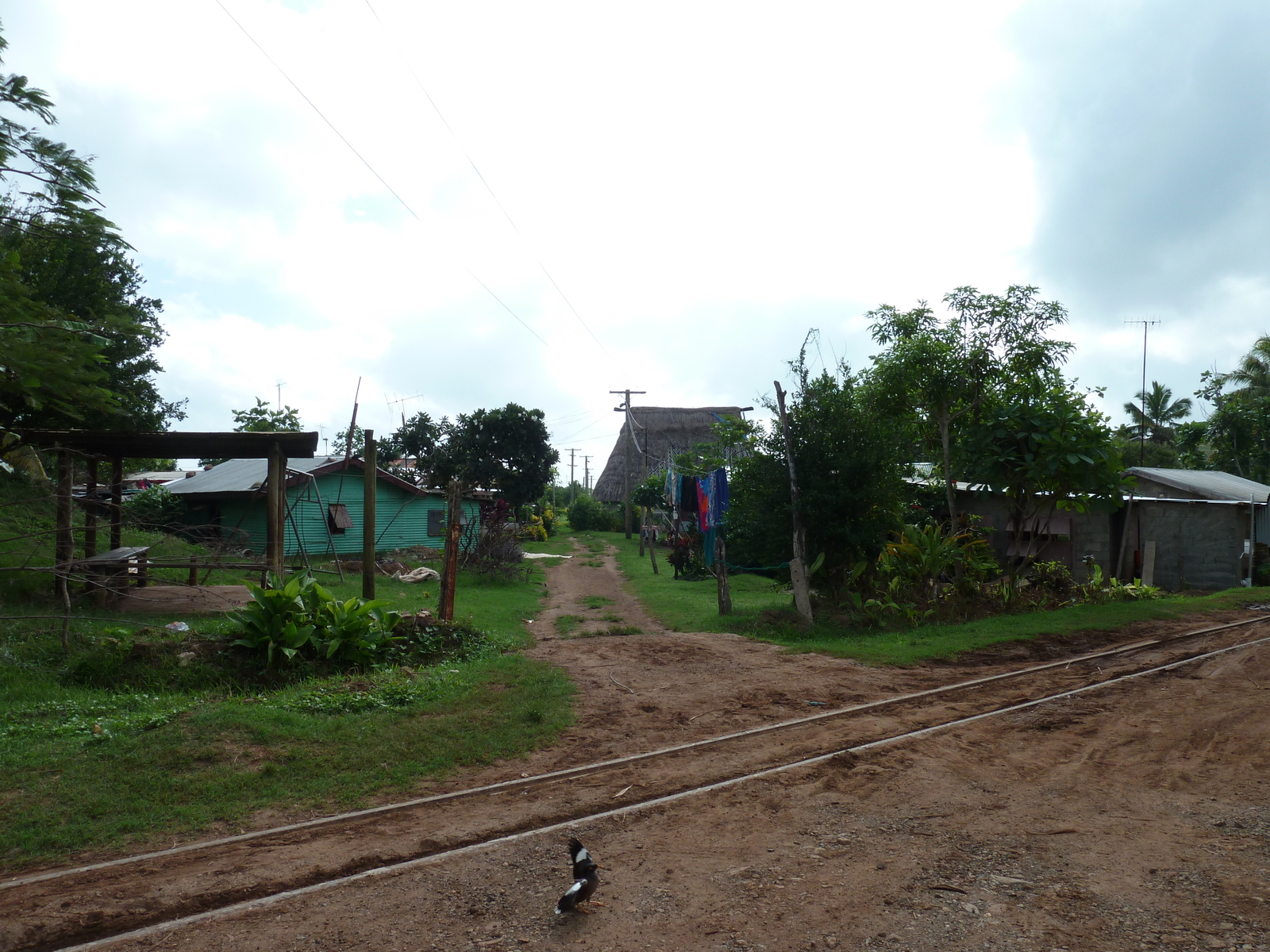 照片 斐济(Fiji) 楠迪至纳塔多拉公路(Nadi to Natadola road) 2010-05 22