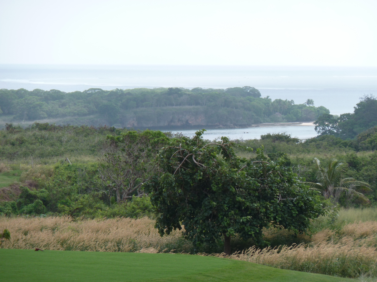 照片 斐济(Fiji) 楠迪至纳塔多拉公路(Nadi to Natadola road) 2010-05 29