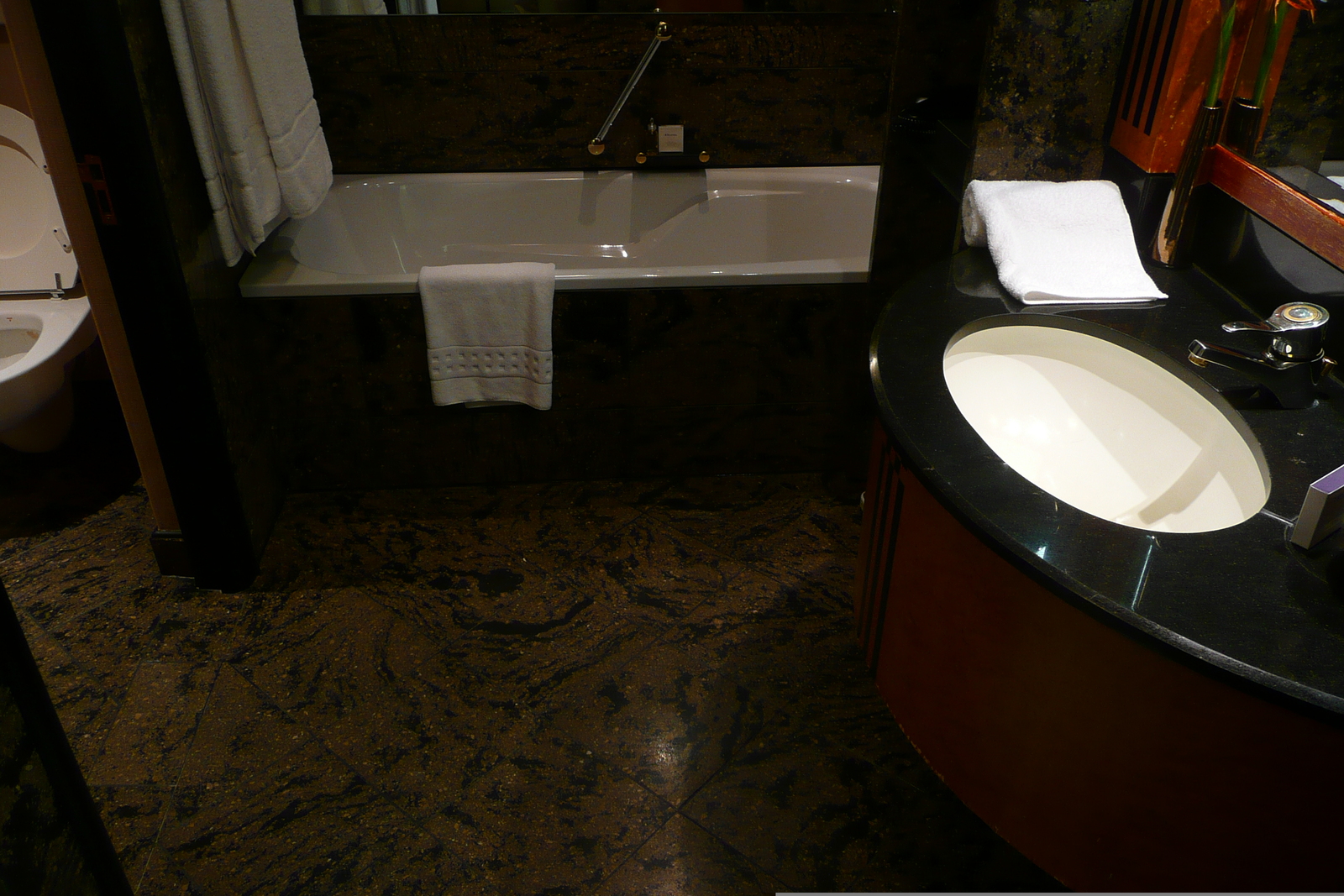 照片 南非(South Africa) 约翰内斯堡(Johannesburg) 洲际酒店(Intercontinental Hotel) 2008-09 26