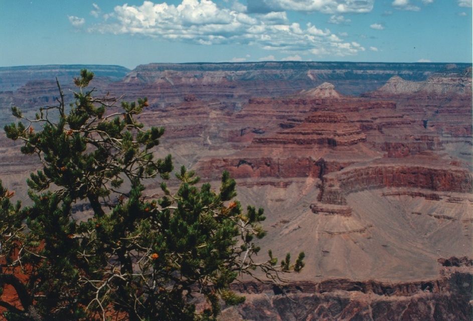 照片 美国(United States) 大峡谷(Grand Canyon) 1992-08 7