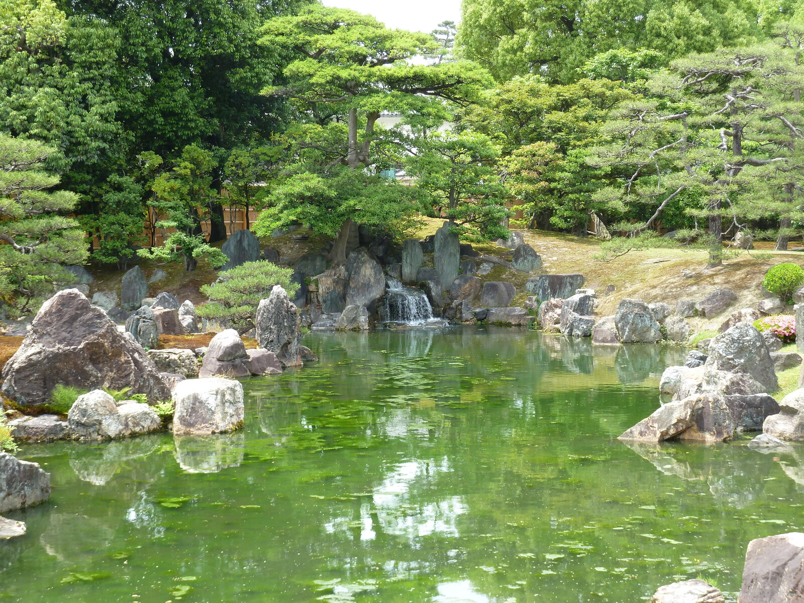 照片 日本(Japan) 京都(Kyoto) 二条城(Nijo Castle) 二之丸庭园(Ninomaru Garden) 2010-06 11