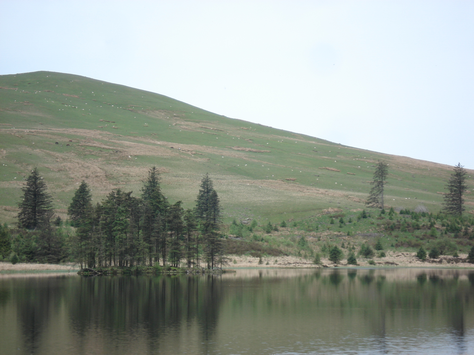 照片 英国(United Kingdom) 布雷肯比肯斯国家公园(Brecon Beacons National Park) 2006-05 54