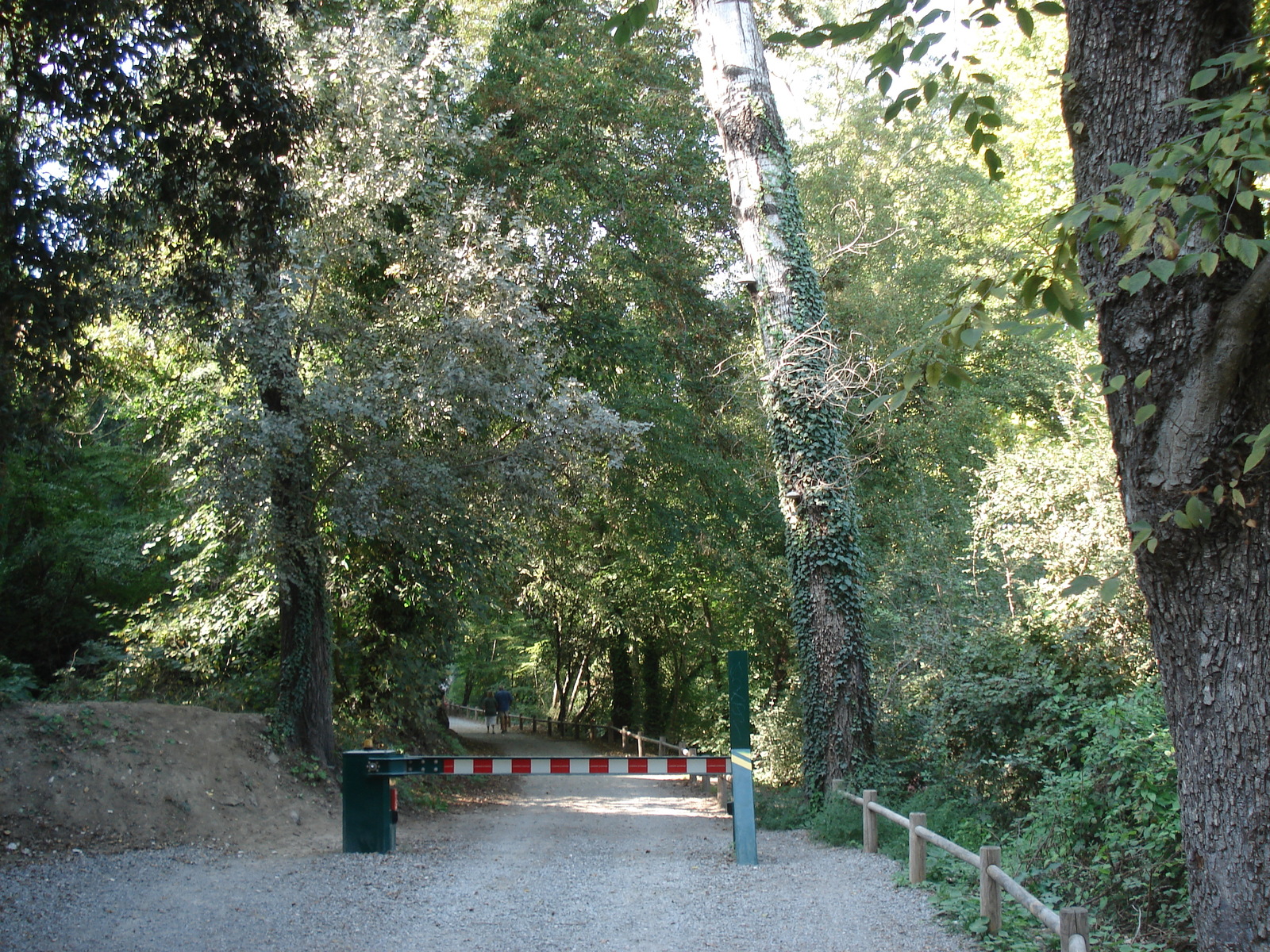 照片 法国(France) 维尔讷夫卢贝(Villeneuve Loubet) 2006-10 27
