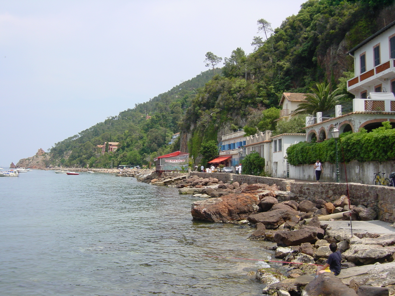 照片 法国(France) 埃斯特雷尔山(Esterel) 2003-05 15